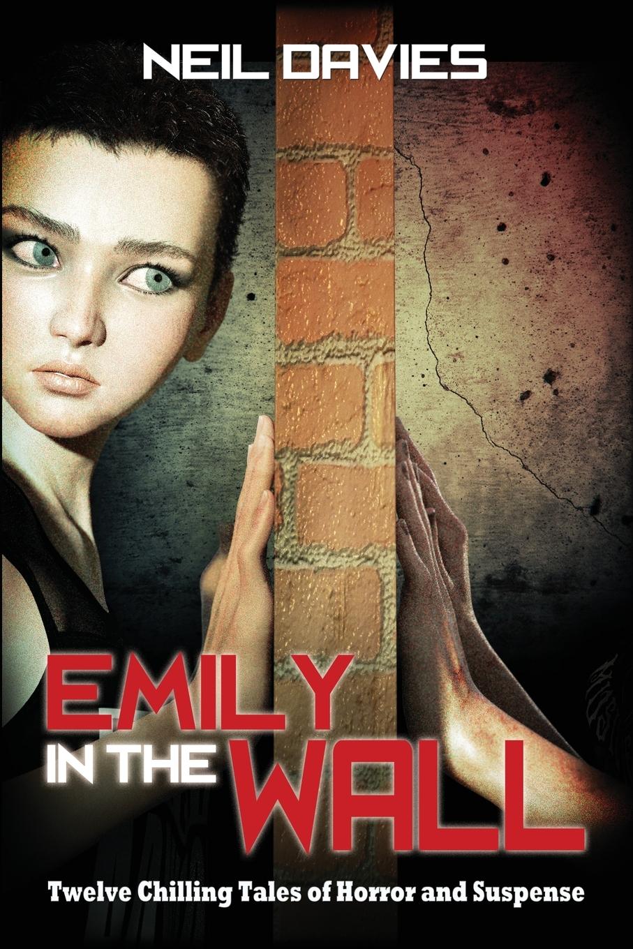 Vorderes Coverbild Emily in the Wall