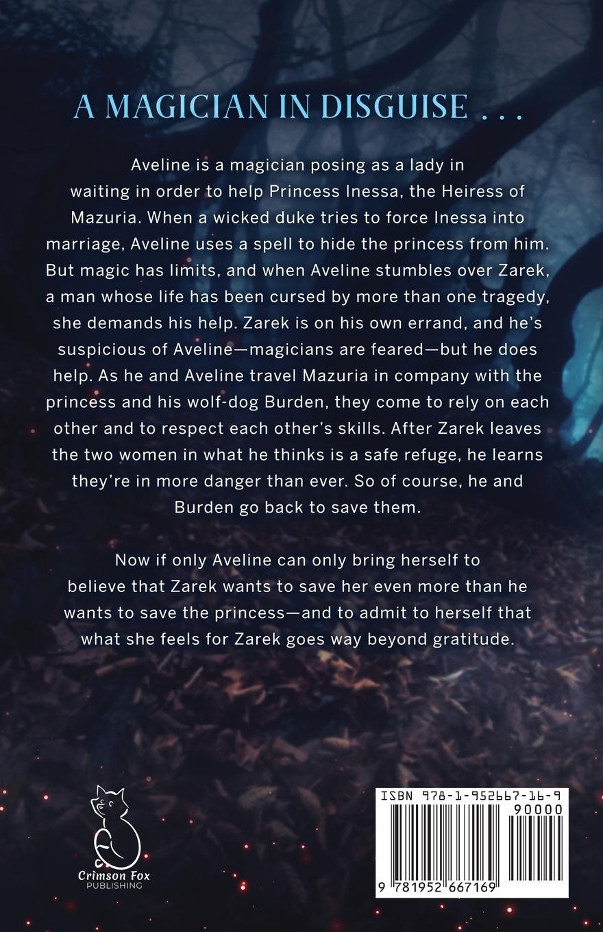 Rückseitencover Bag of Tricks