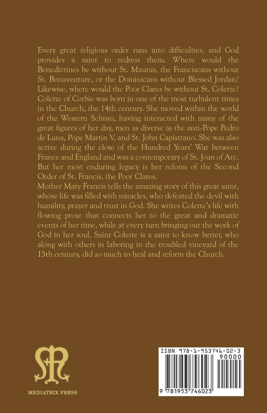 Rückseitencover Walled in Light