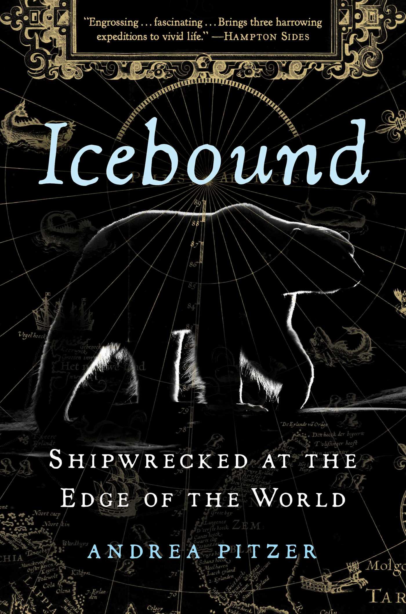 Vorderes Coverbild Icebound