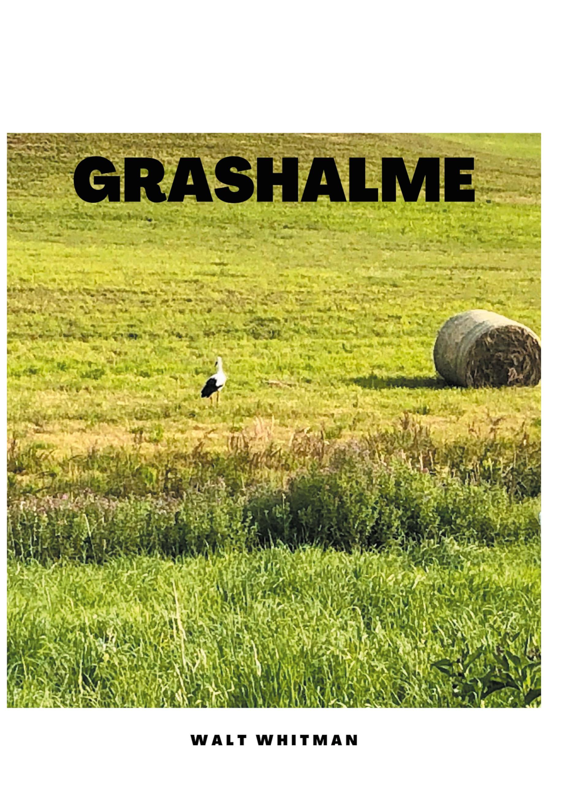 Vorderes Coverbild Grashalme