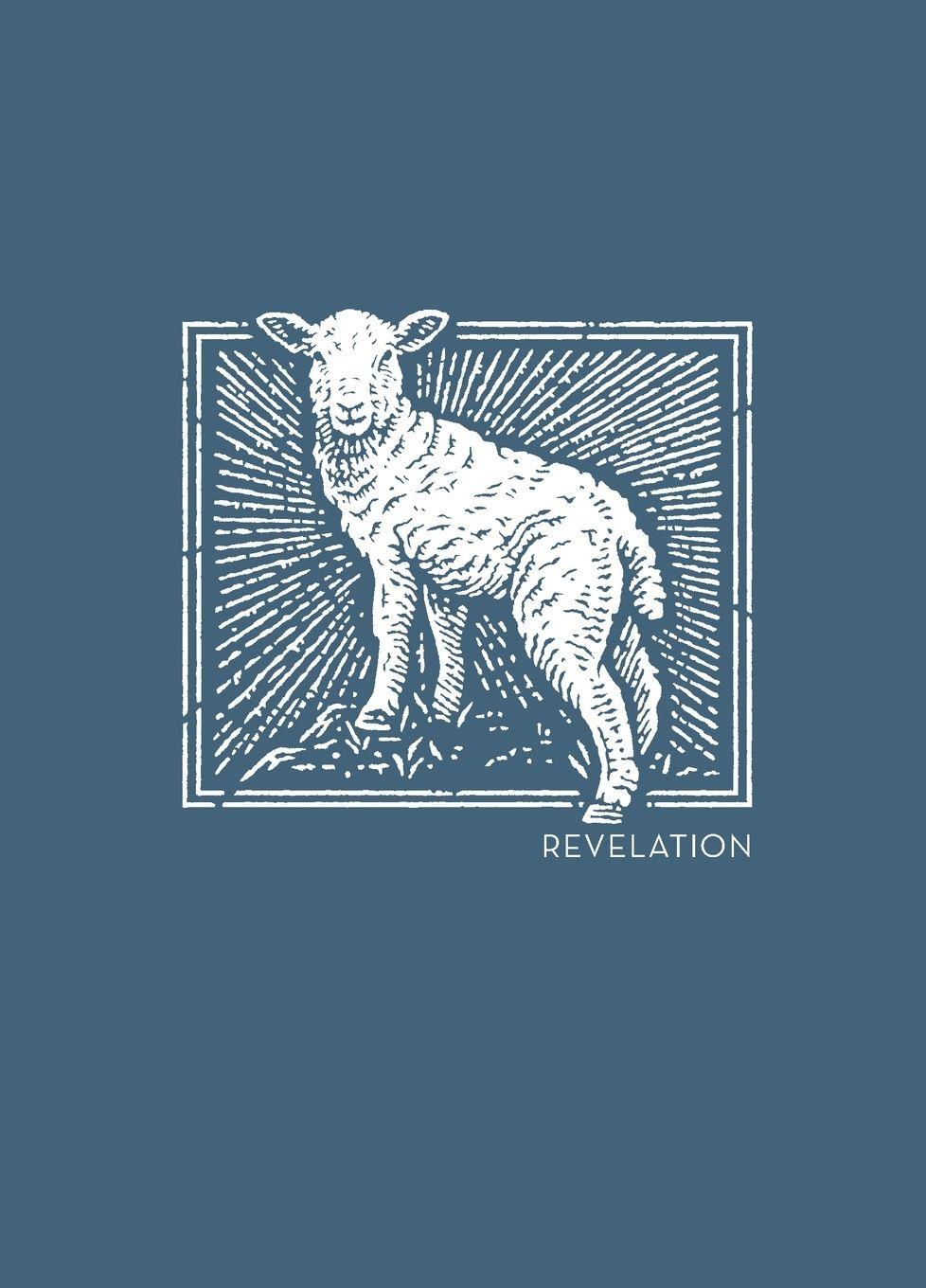 Vorderes Coverbild NET Abide Bible Journal - Revelation, Paperback, Comfort Print | Softcover