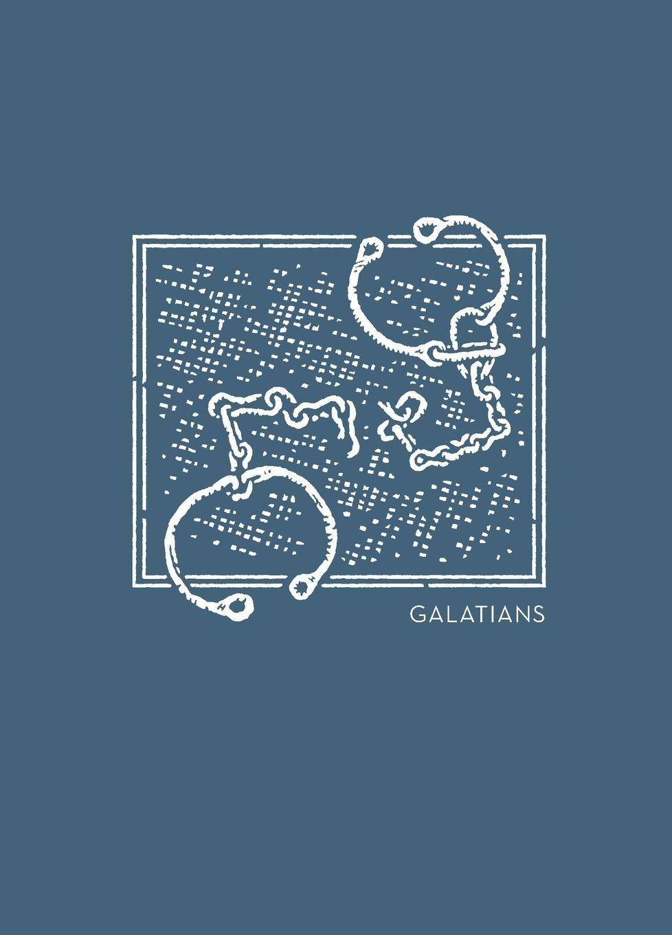 Vorderes Coverbild NET Abide Bible Journal - Galatians, Paperback, Comfort Print | Softcover