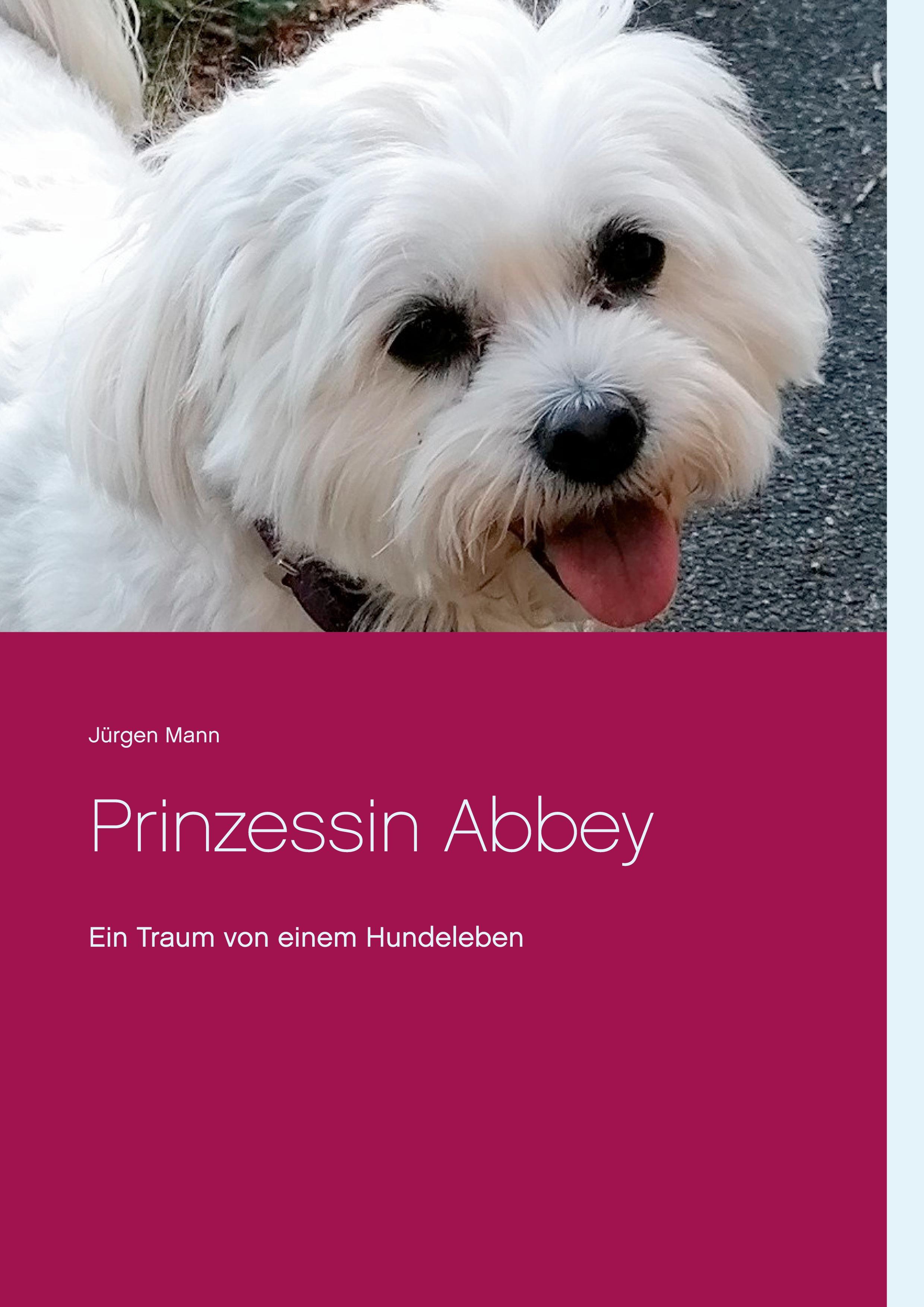 Vorderes Coverbild Prinzessin Abbey