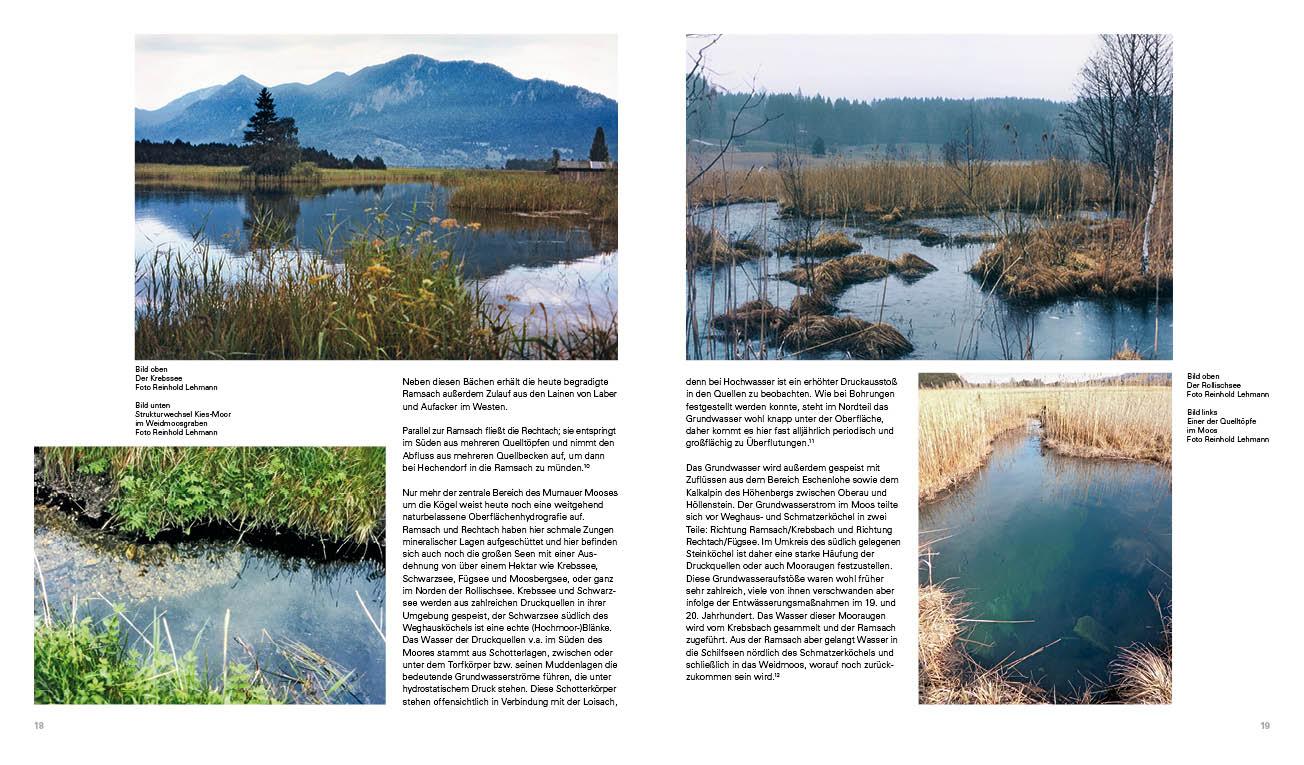 Beispielinhalt (Bild) Kultivierte Wildnis