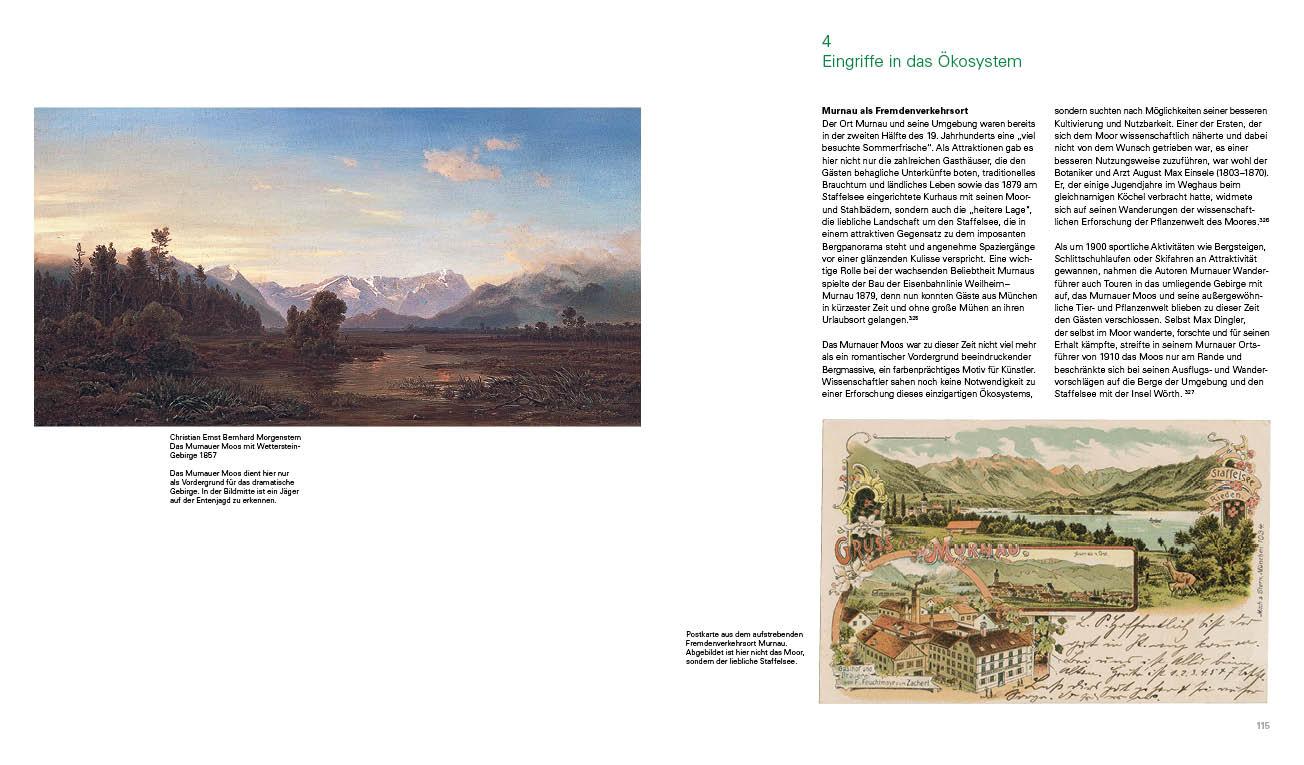 Beispielinhalt (Bild) Kultivierte Wildnis