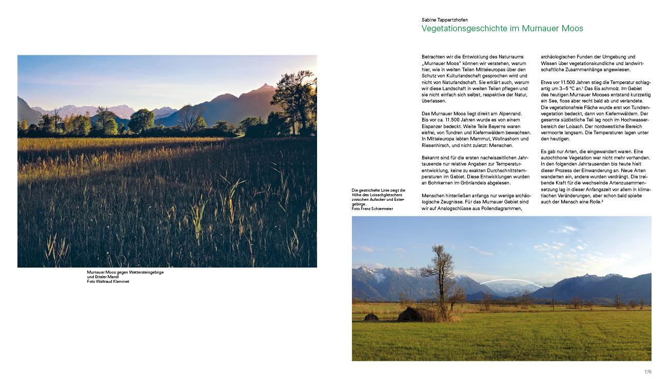 Beispielinhalt (Bild) Kultivierte Wildnis