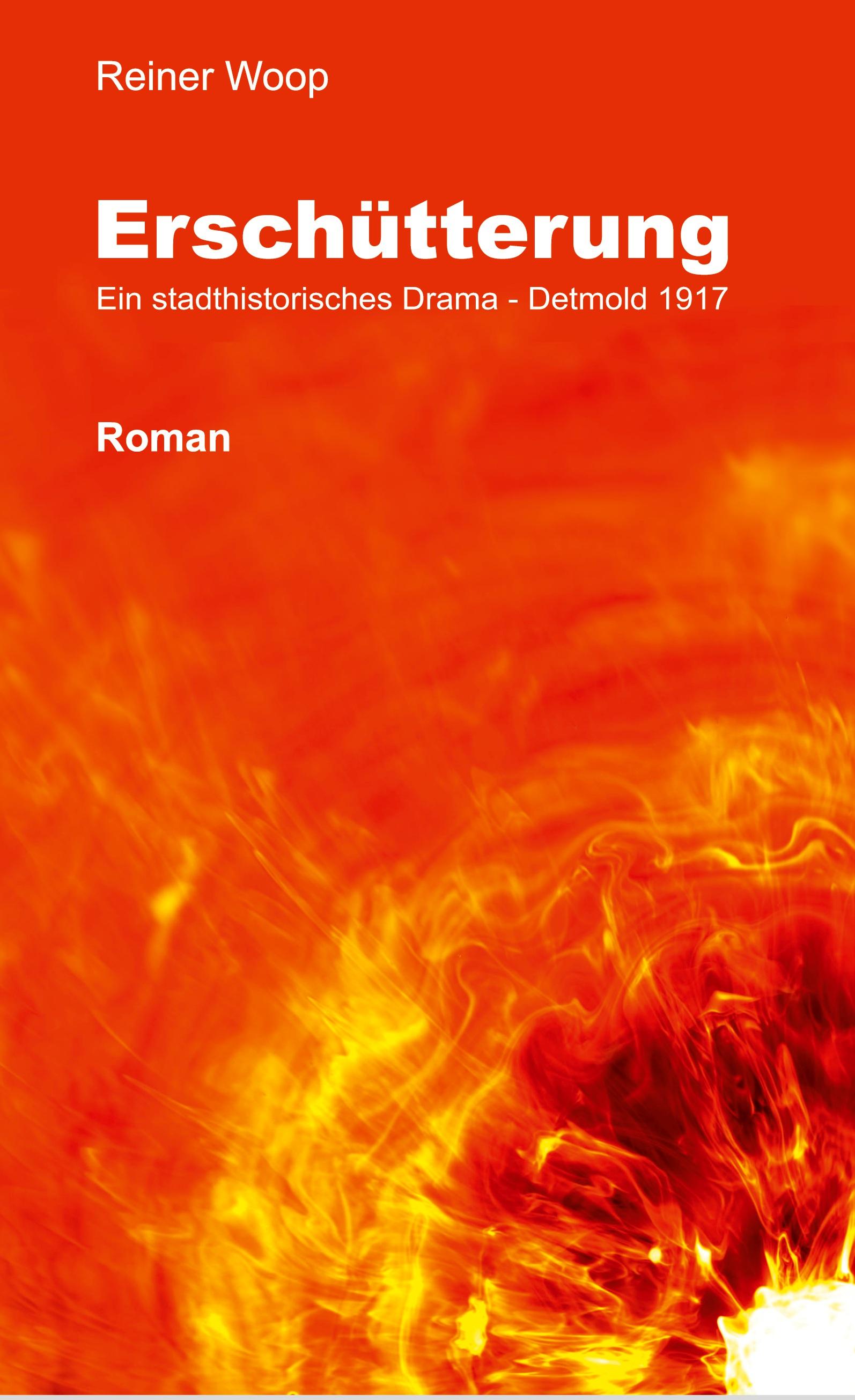Vorderes Coverbild Erschütterung