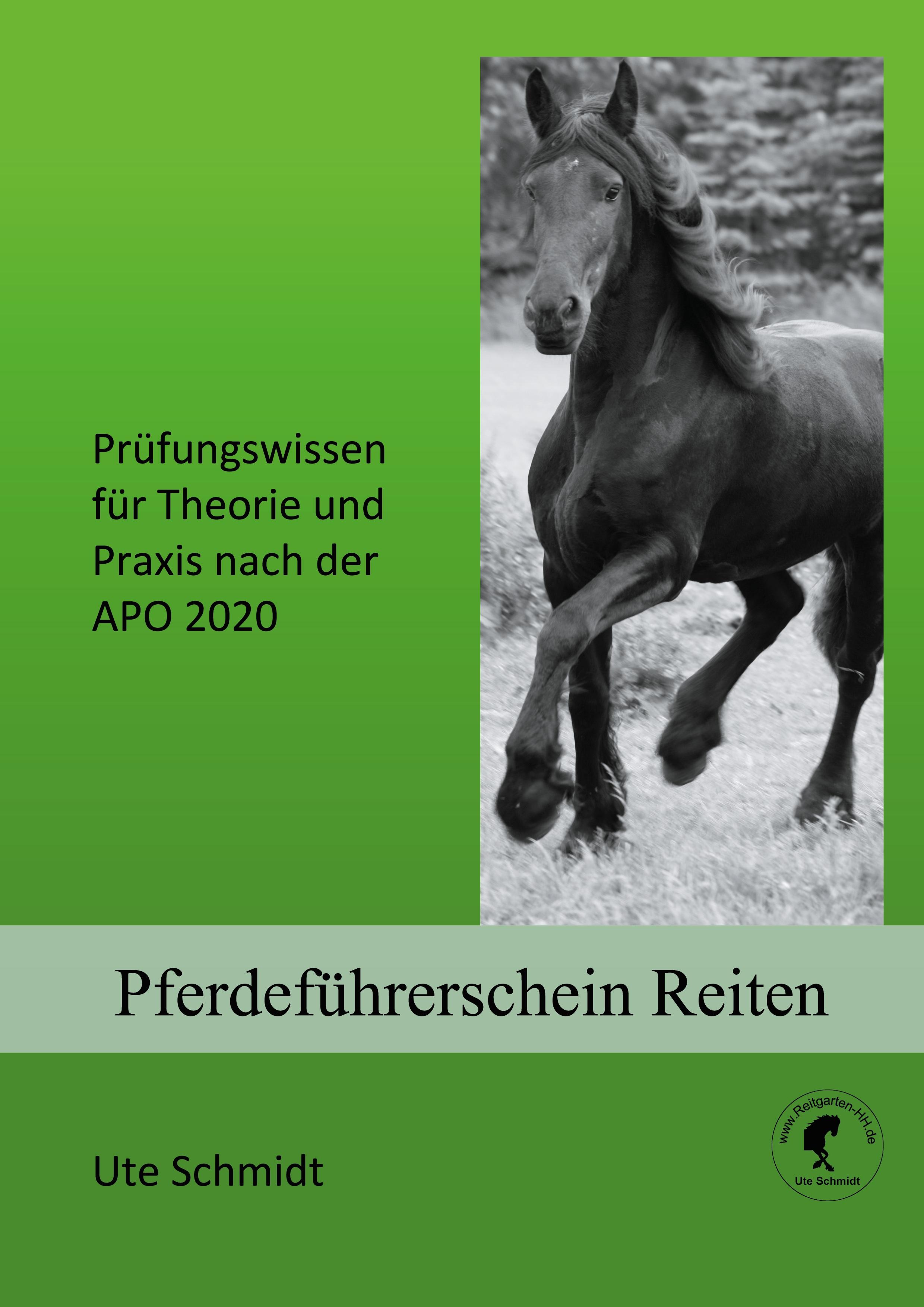 Vorderes Coverbild Pferdeführerschein Reiten