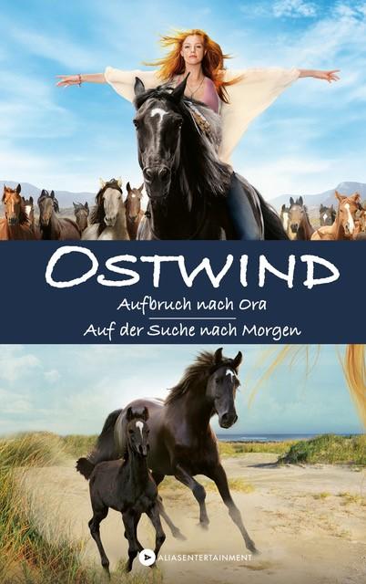 Vorderes Coverbild OSTWIND