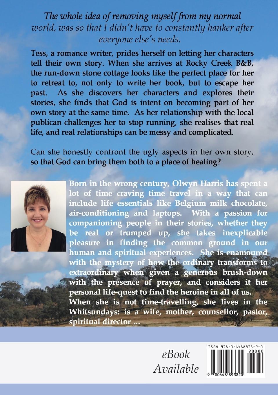 Rückseitencover The Writer's Retreat