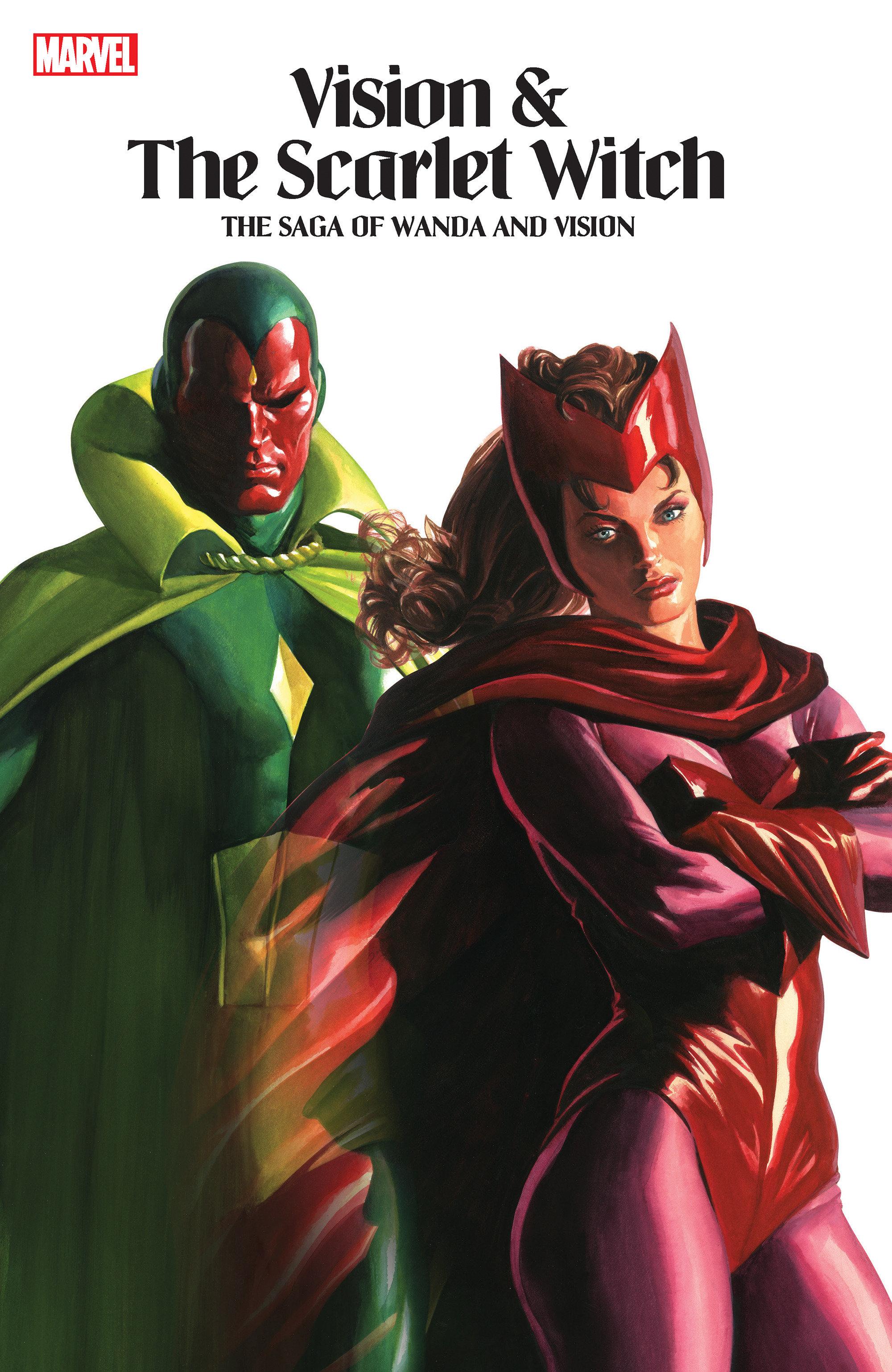 Vorderes Coverbild Vision & the Scarlet Witch: The Saga of Wanda and Vision