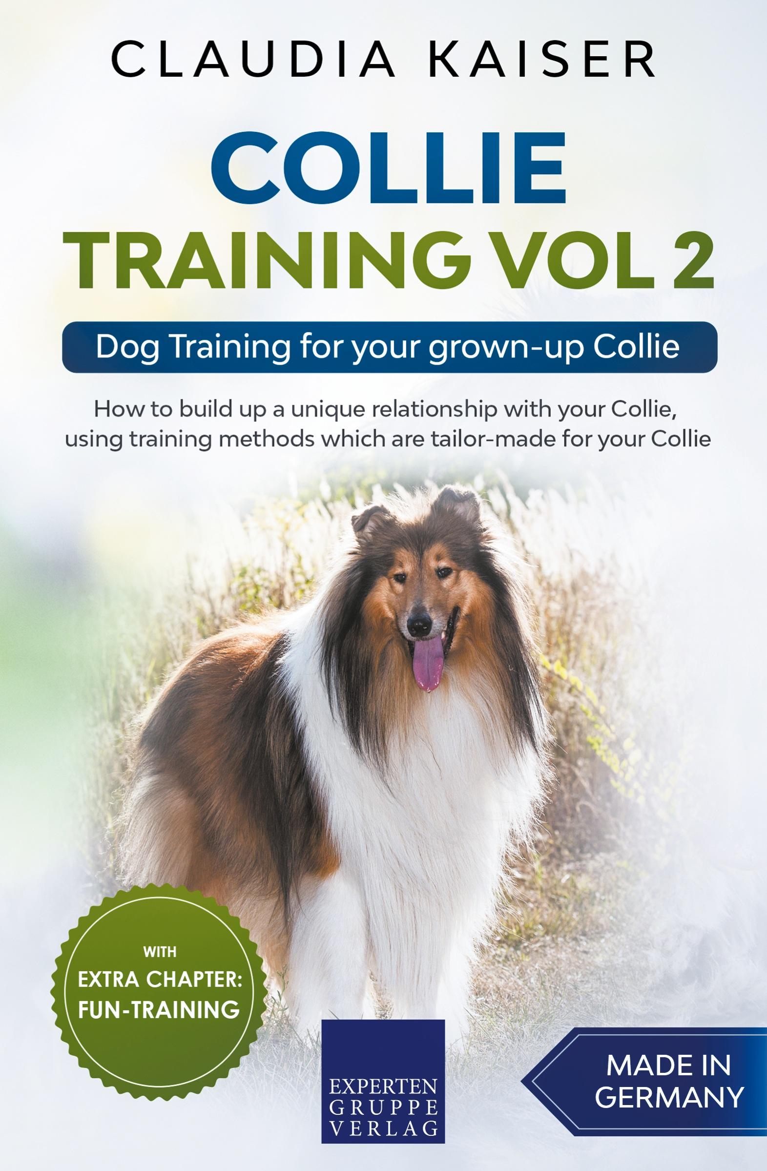 Vorderes Coverbild Collie Training Vol 2