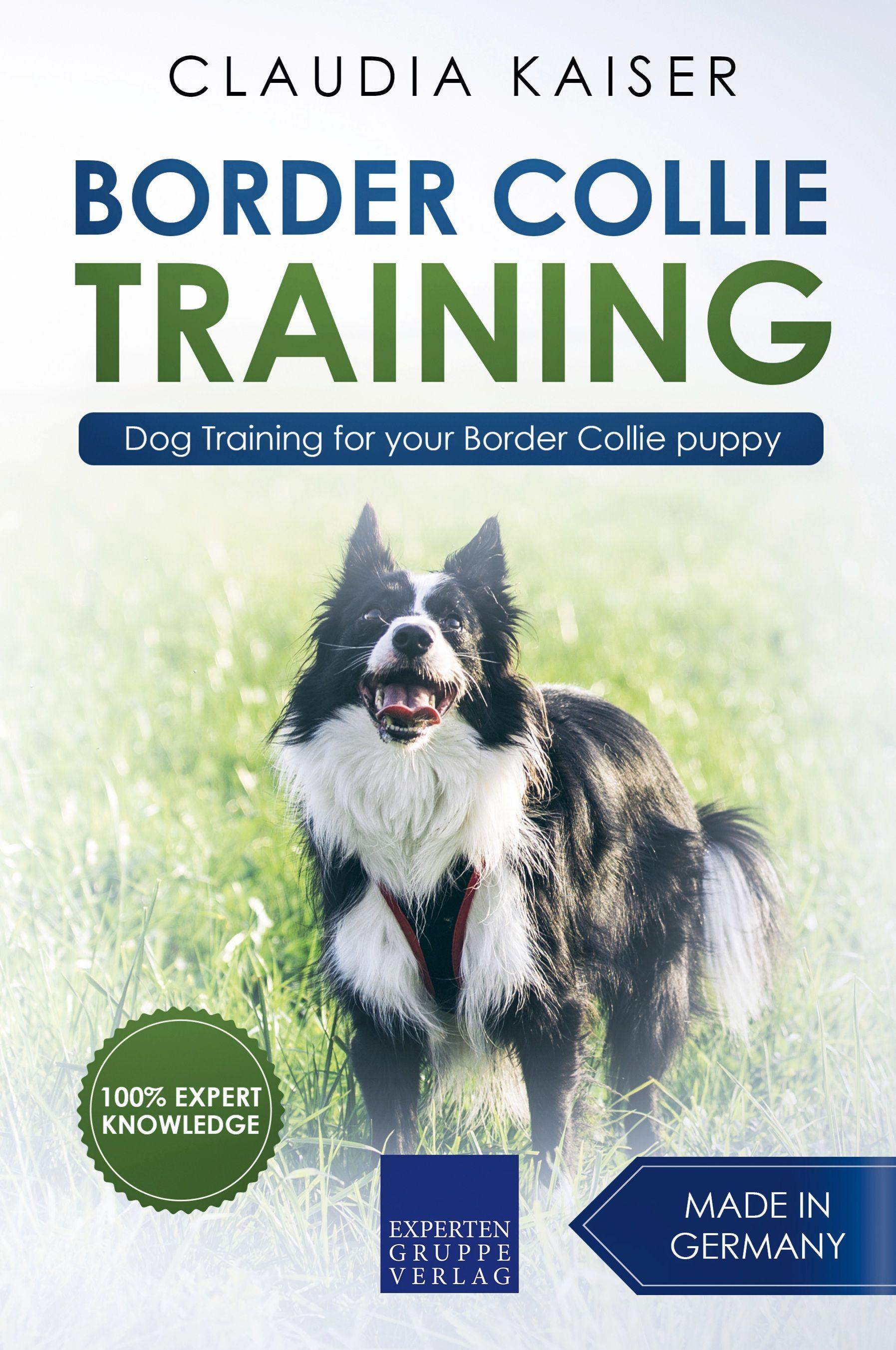 Vorderes Coverbild Border Collie Training - Dog Training for your Border Collie puppy