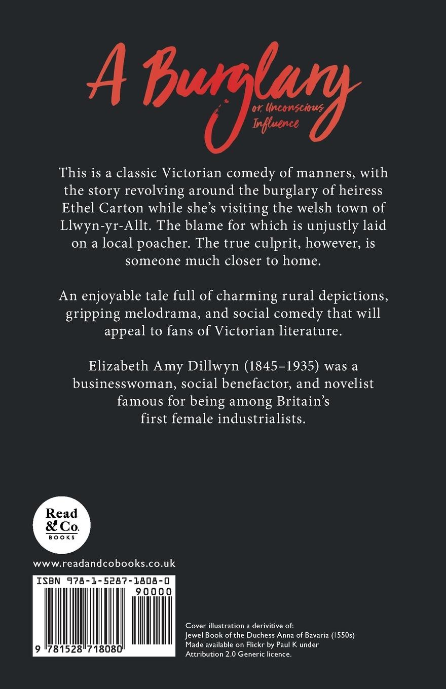Rückseitencover A Burglary - or, Unconscious Influence