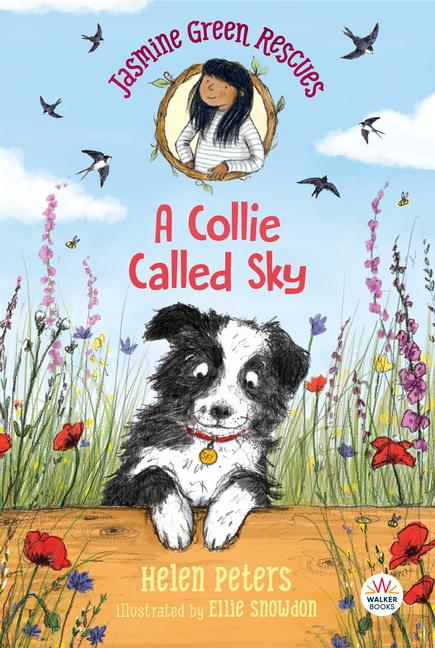 Vorderes Coverbild Jasmine Green Rescues: A Collie Called Sky