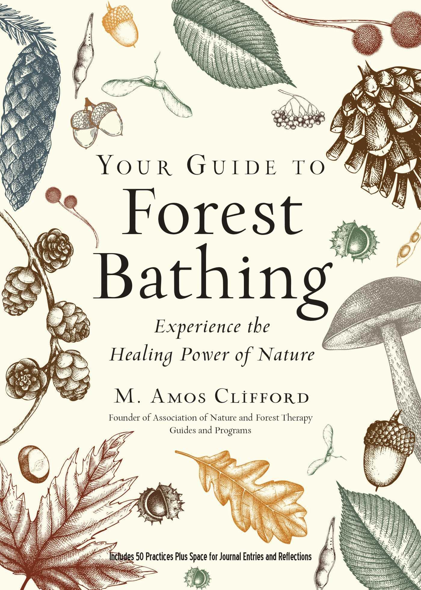 Vorderes Coverbild Your Guide to Forest Bathing (Expanded Edition)