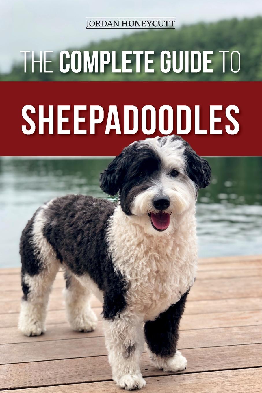 Vorderes Coverbild The Complete Guide to Sheepadoodles