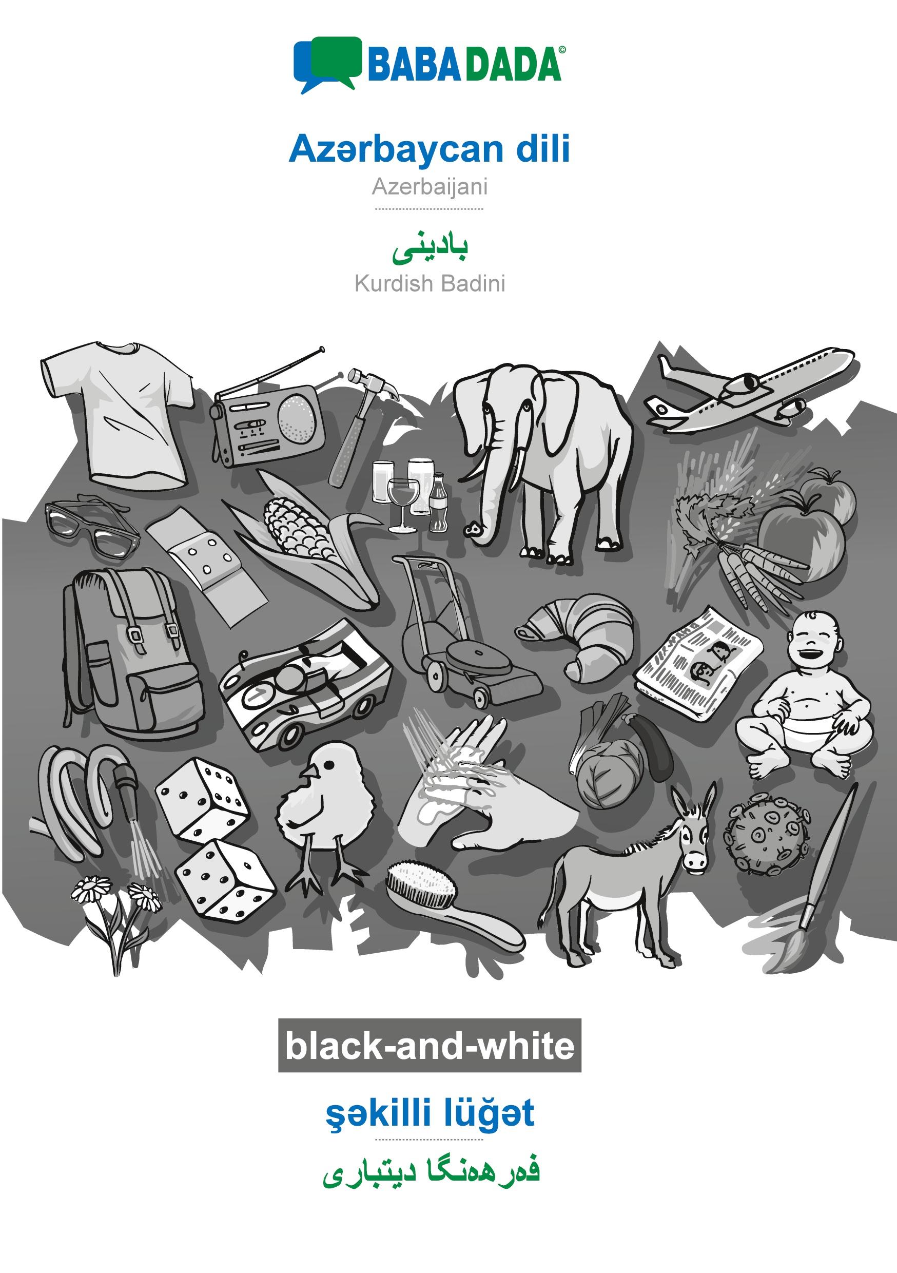 Vorderes Coverbild Az¿rbaycan dili - Kurdish Badini (in arabic script), ¿¿killi lü¿¿t, BW