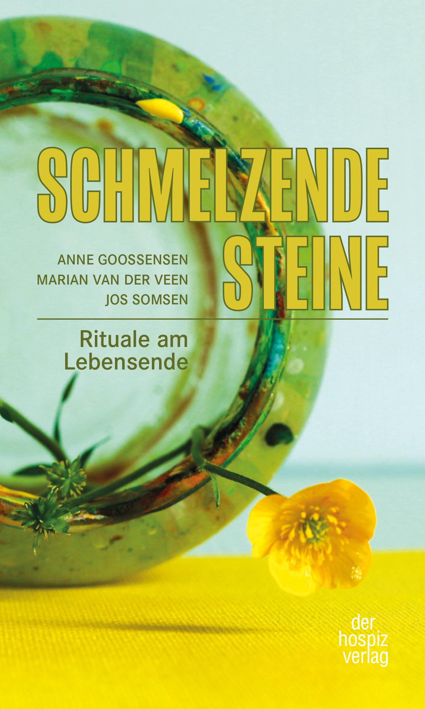 Vorderes Coverbild Schmelzende Steine