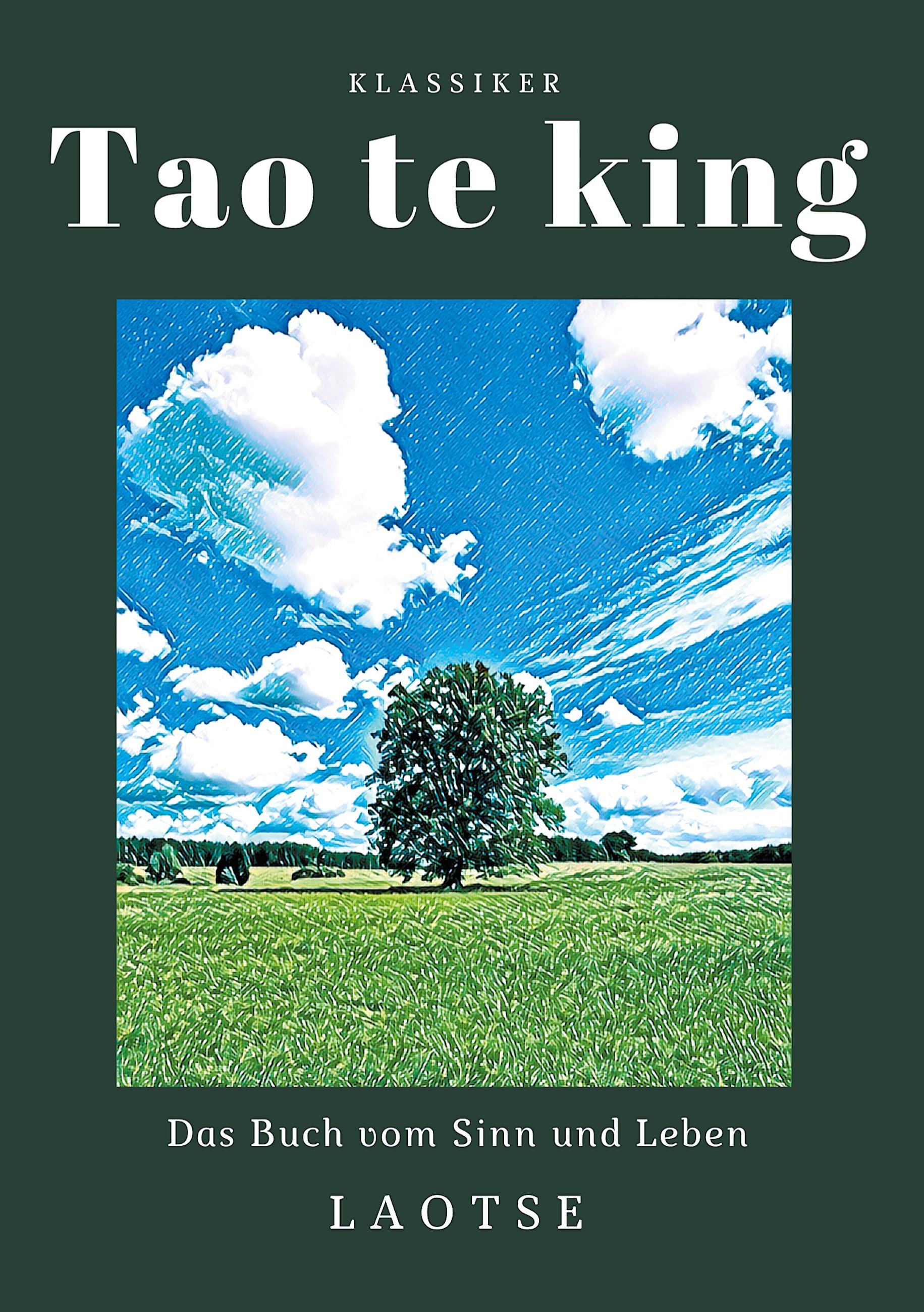 Vorderes Coverbild Tao te king