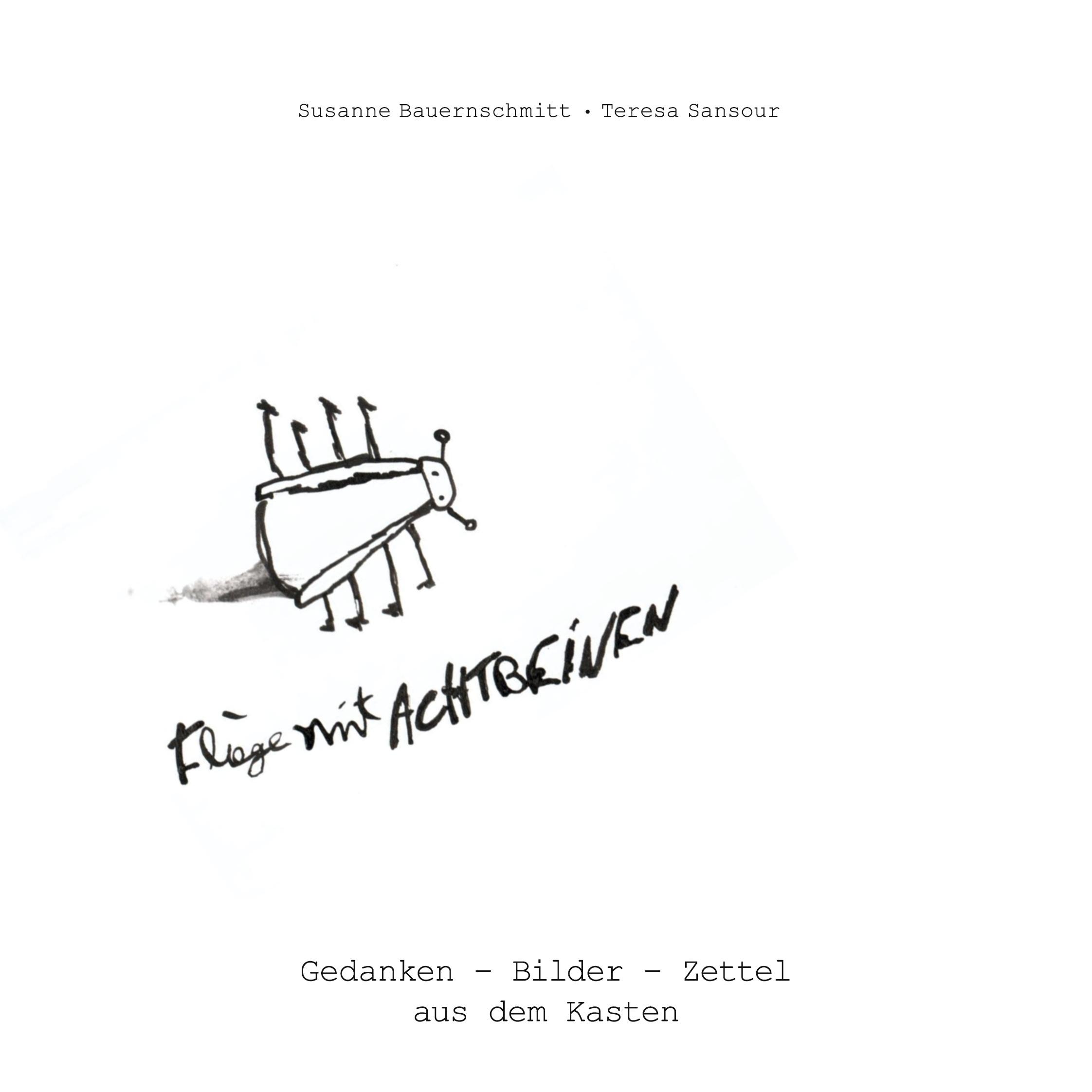 Vorderes Coverbild Fliege mit acht Beinen