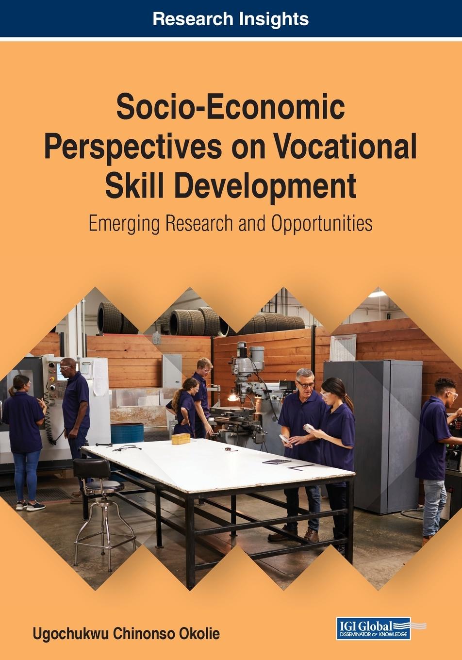 Vorderes Coverbild Socio-Economic Perspectives on Vocational Skill Development