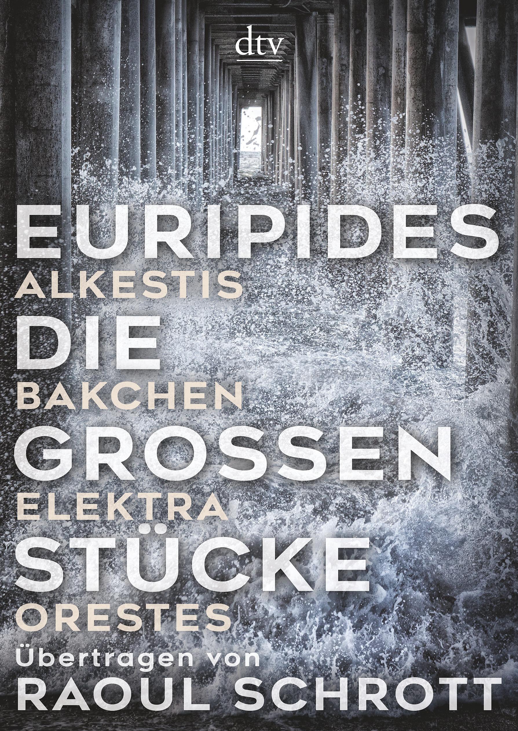 Vorderes Coverbild Die großen Stücke