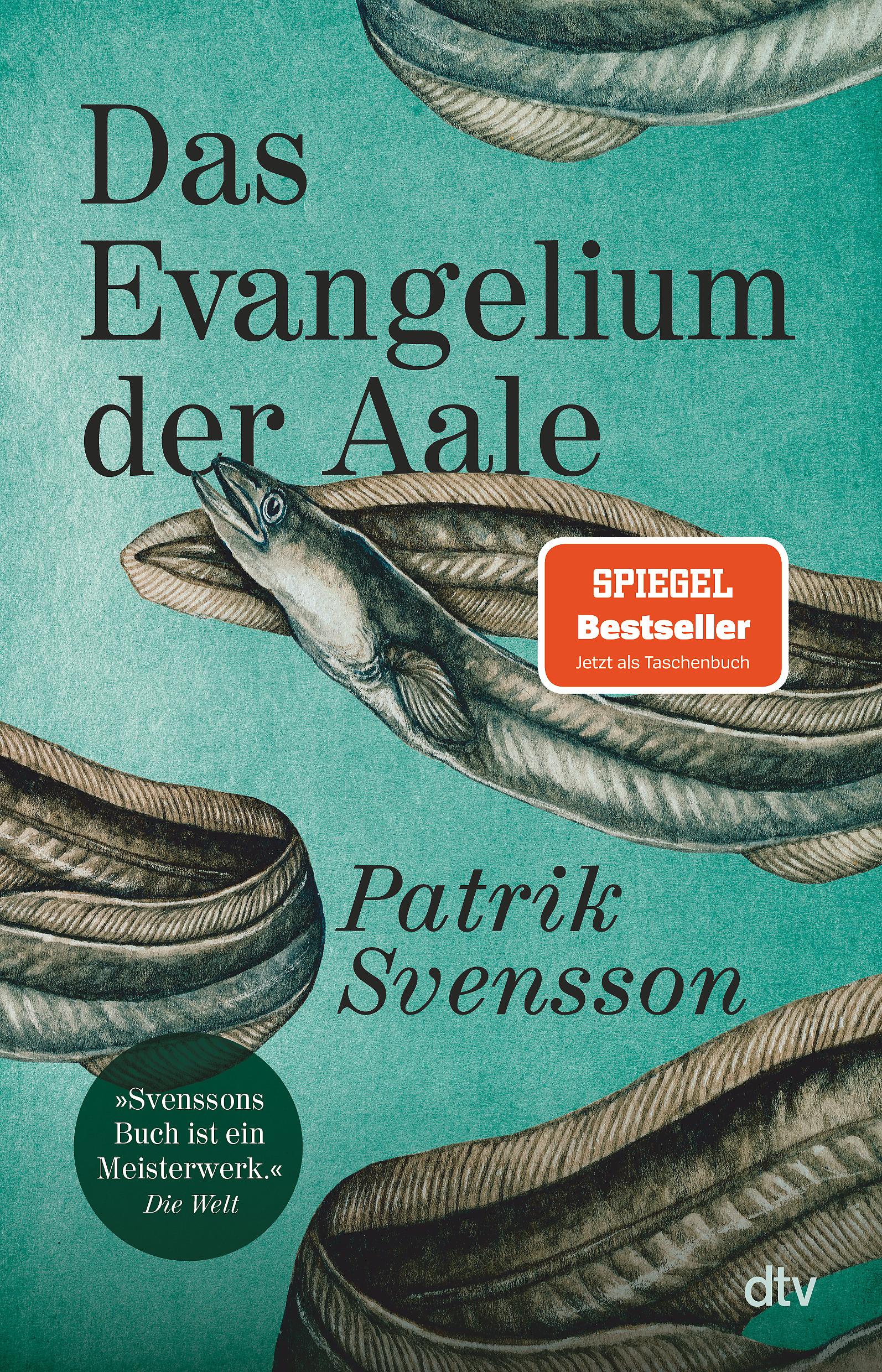 Vorderes Coverbild Das Evangelium der Aale