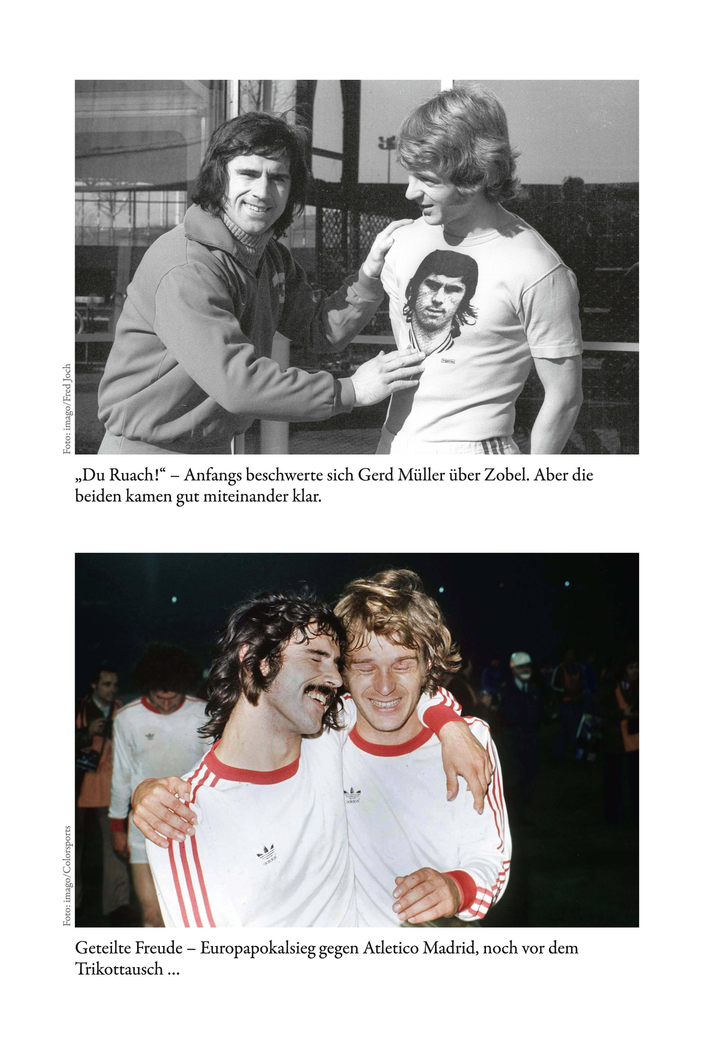 Beispielinhalt (Bild) Zobel