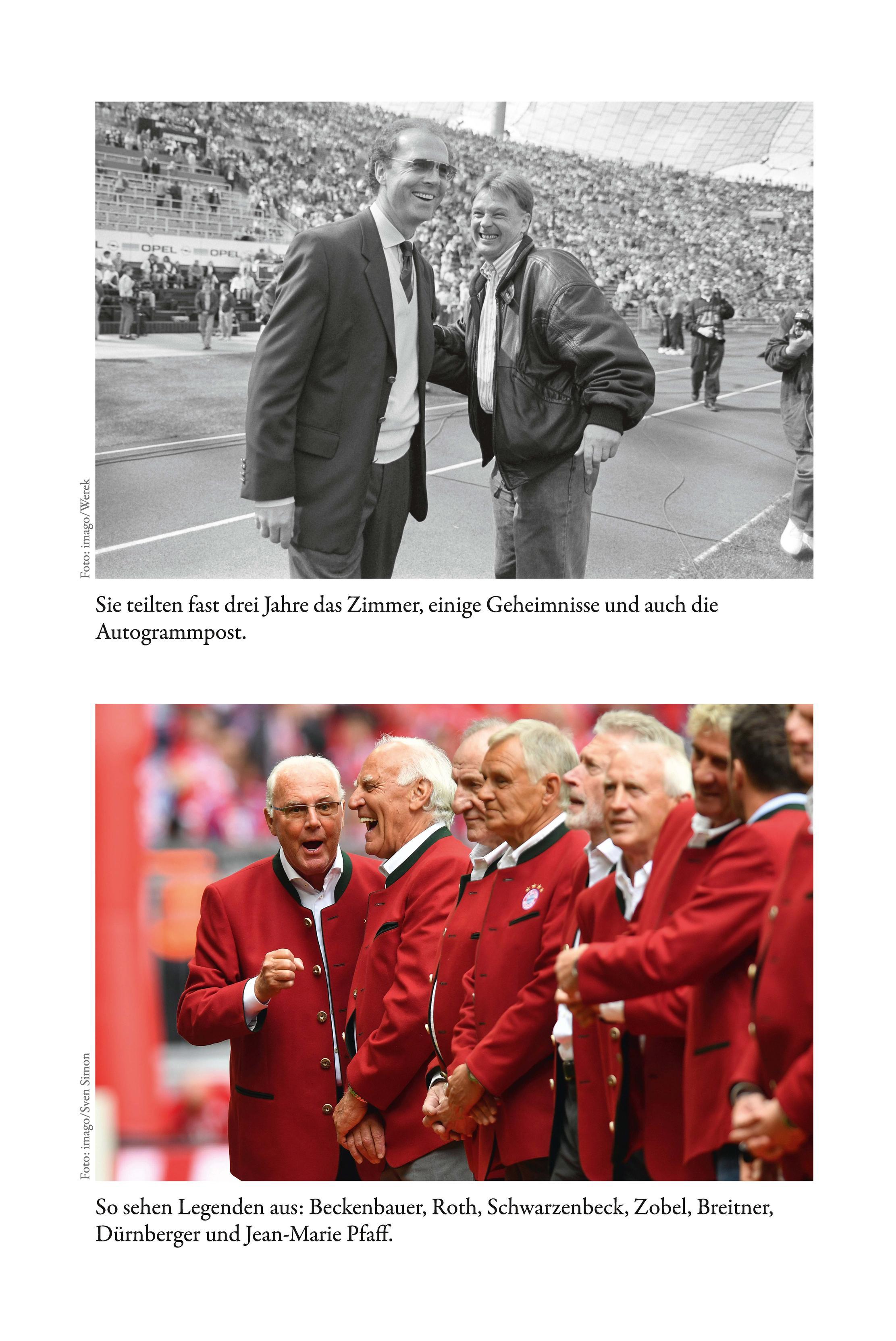 Beispielinhalt (Bild) Zobel