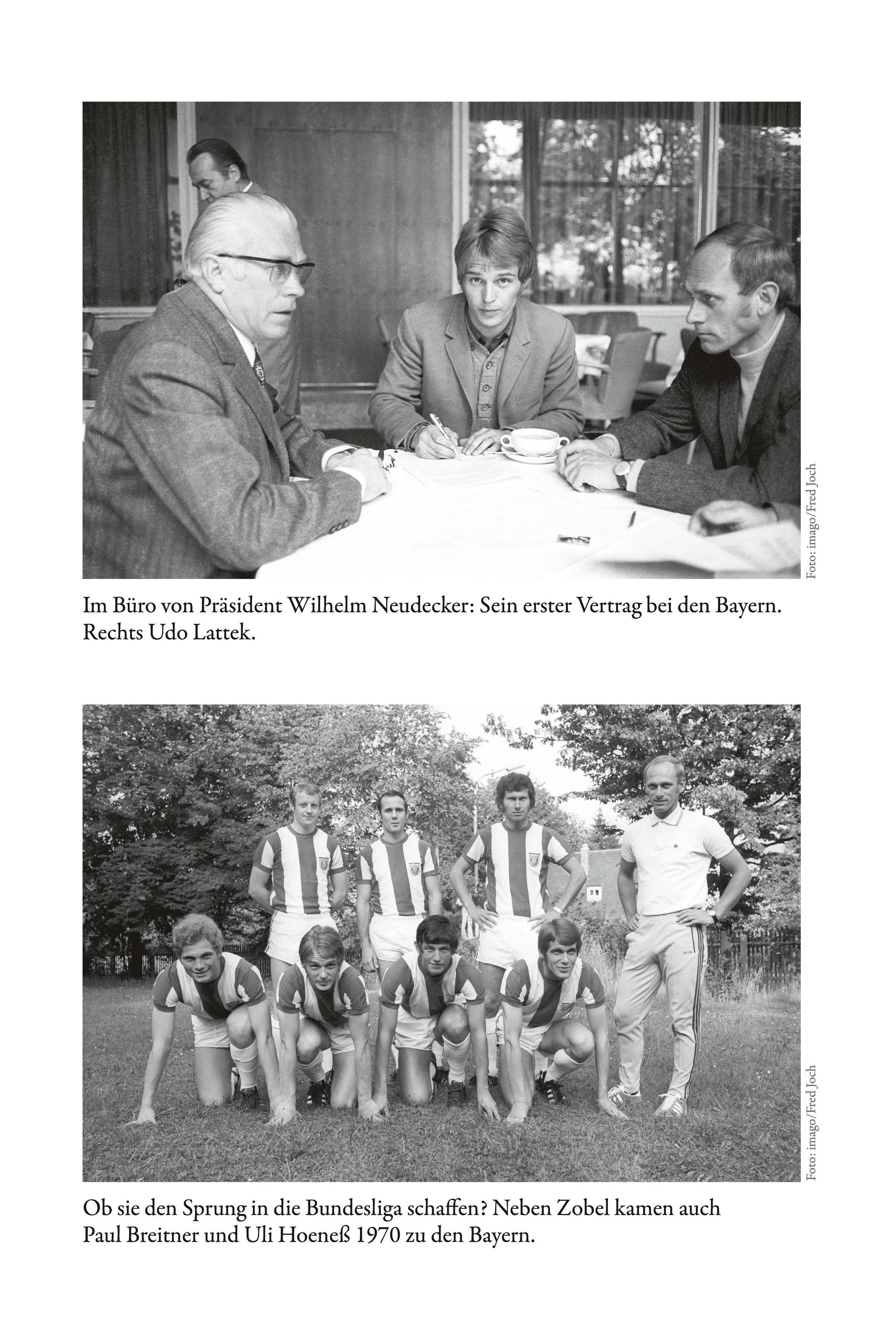 Beispielinhalt (Bild) Zobel