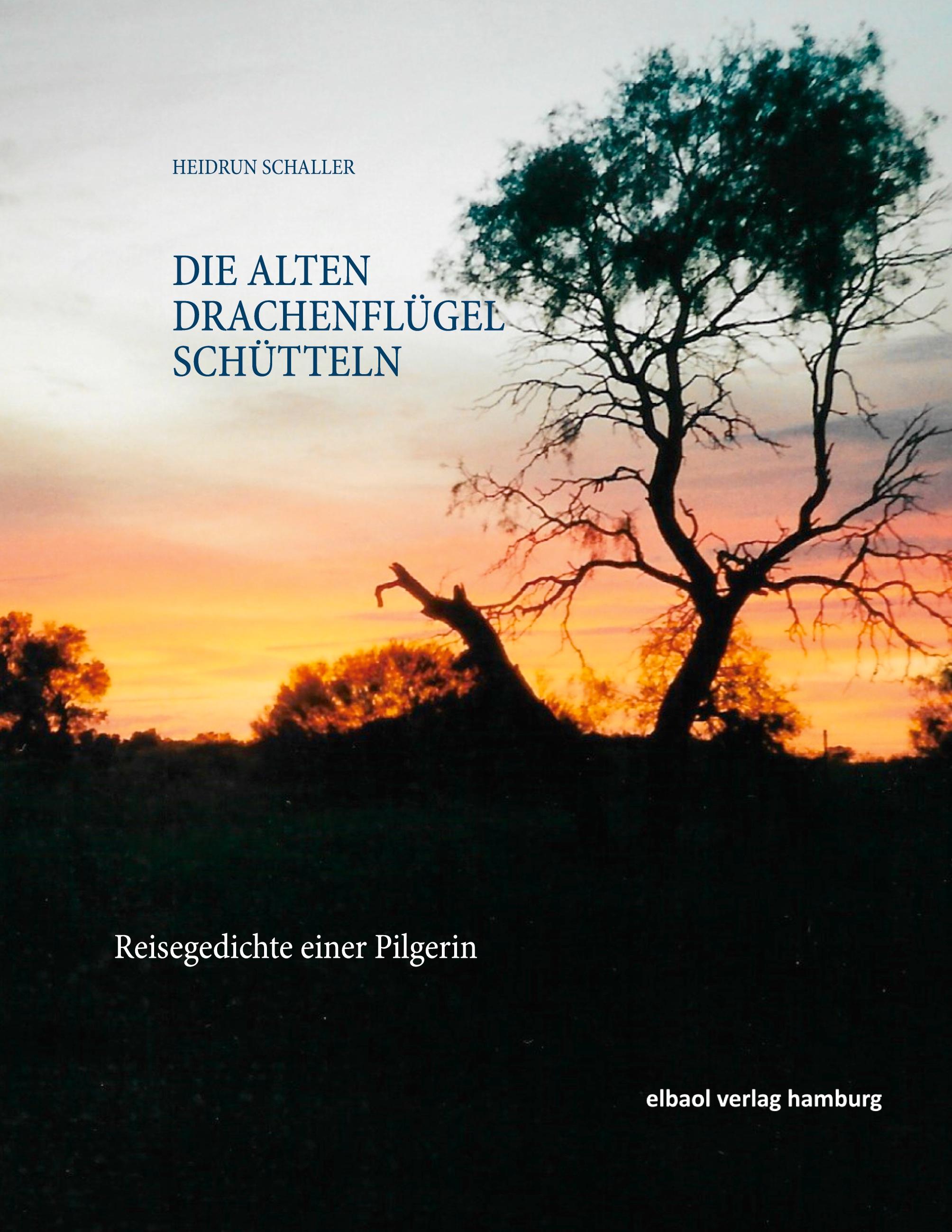 Vorderes Coverbild Die alten Drachenflügel schütteln