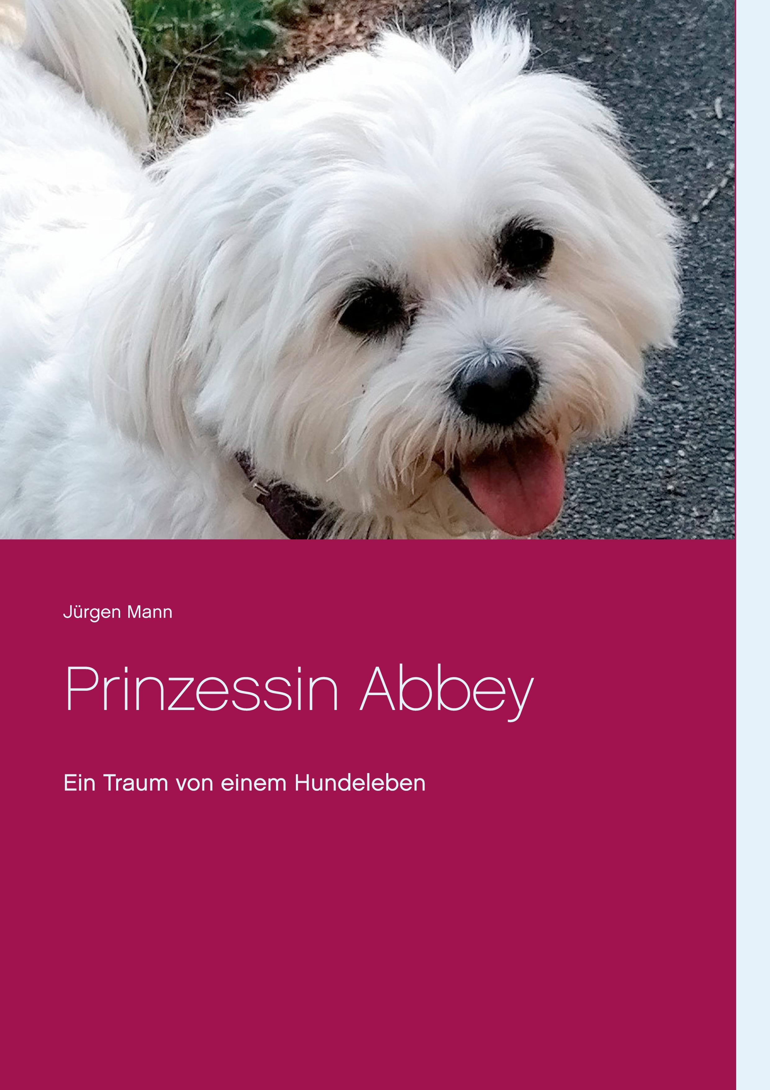 Vorderes Coverbild Prinzessin Abbey