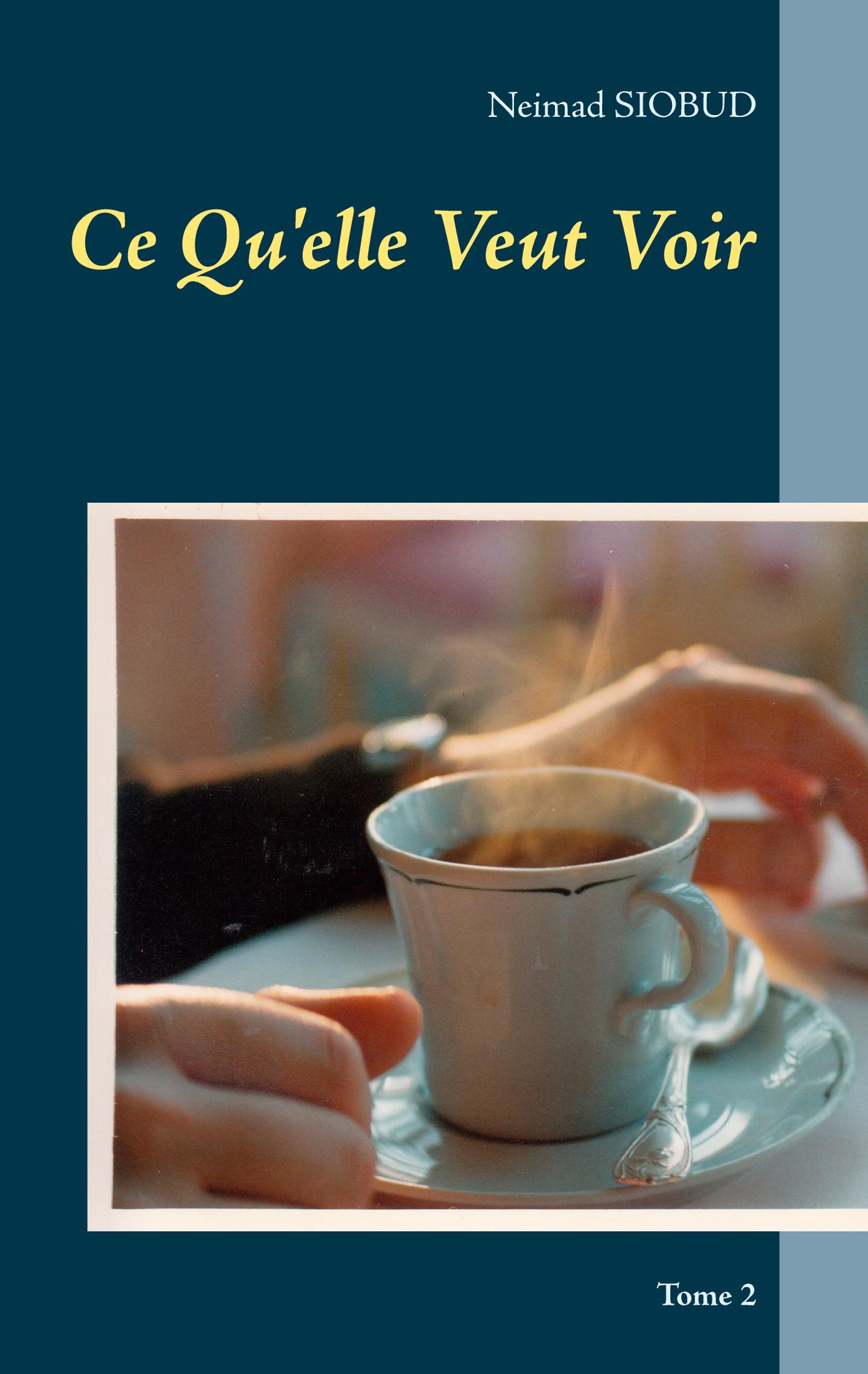 Vorderes Coverbild Ce Qu'elle Veut Voir