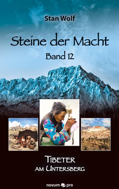 Vorderes Coverbild Steine der Macht - Band 12