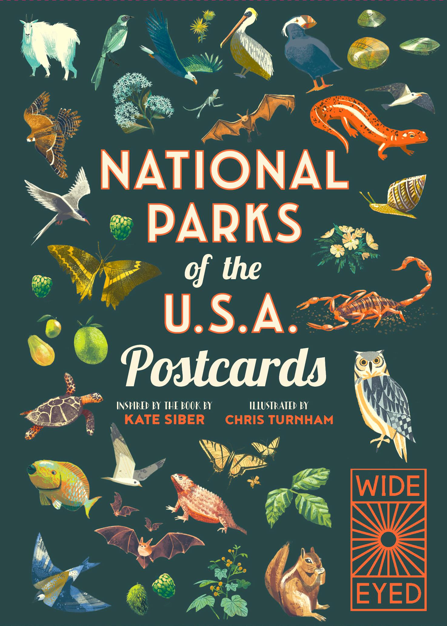 Vorderes Coverbild National Parks of the USA Postcards