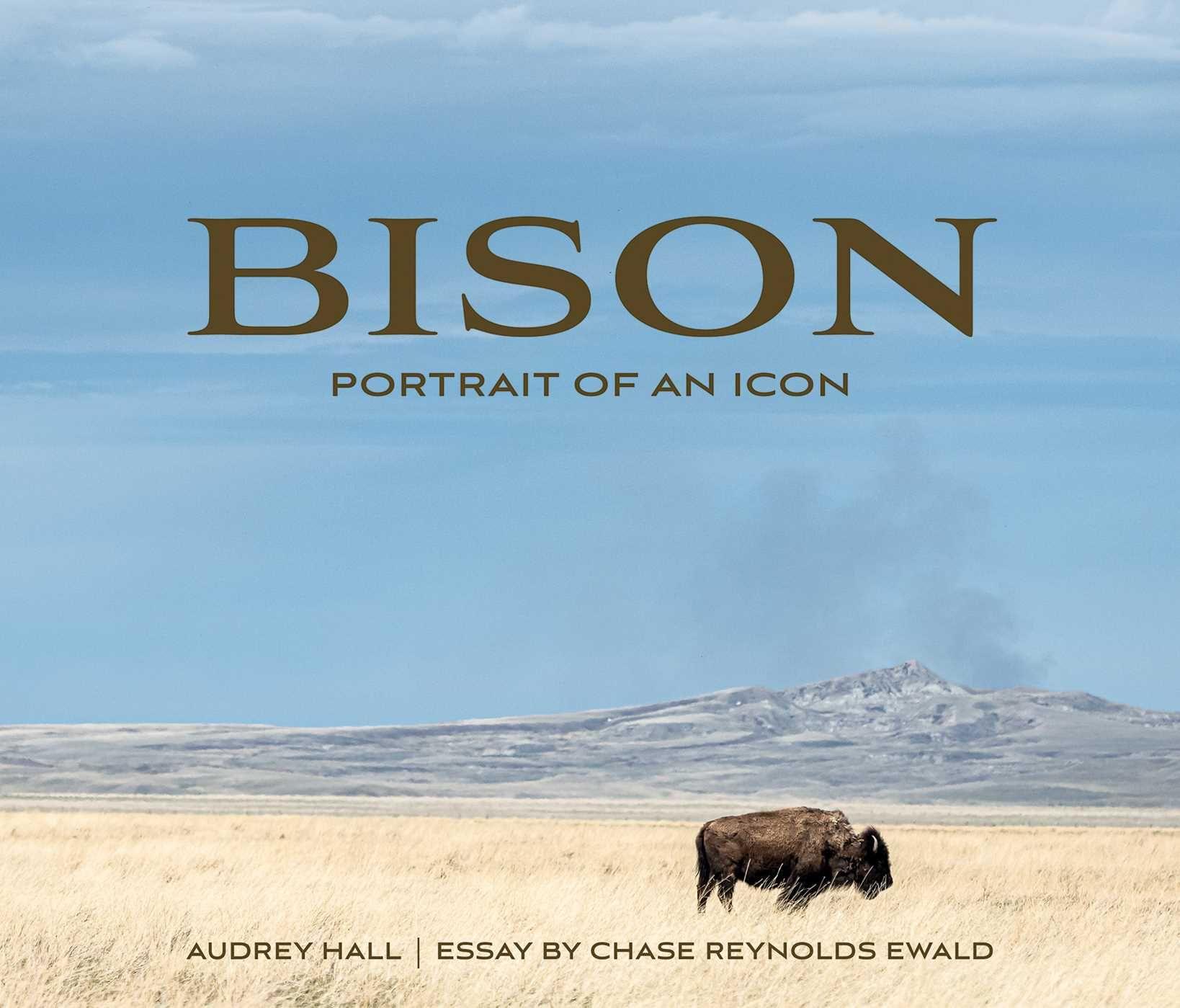 Vorderes Coverbild Bison