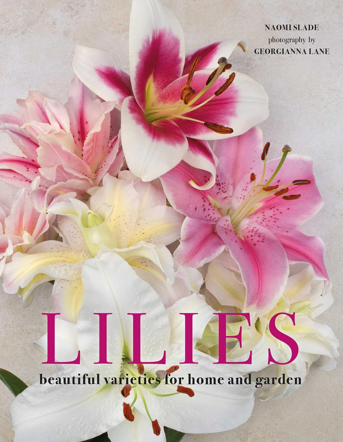 Vorderes Coverbild Lilies