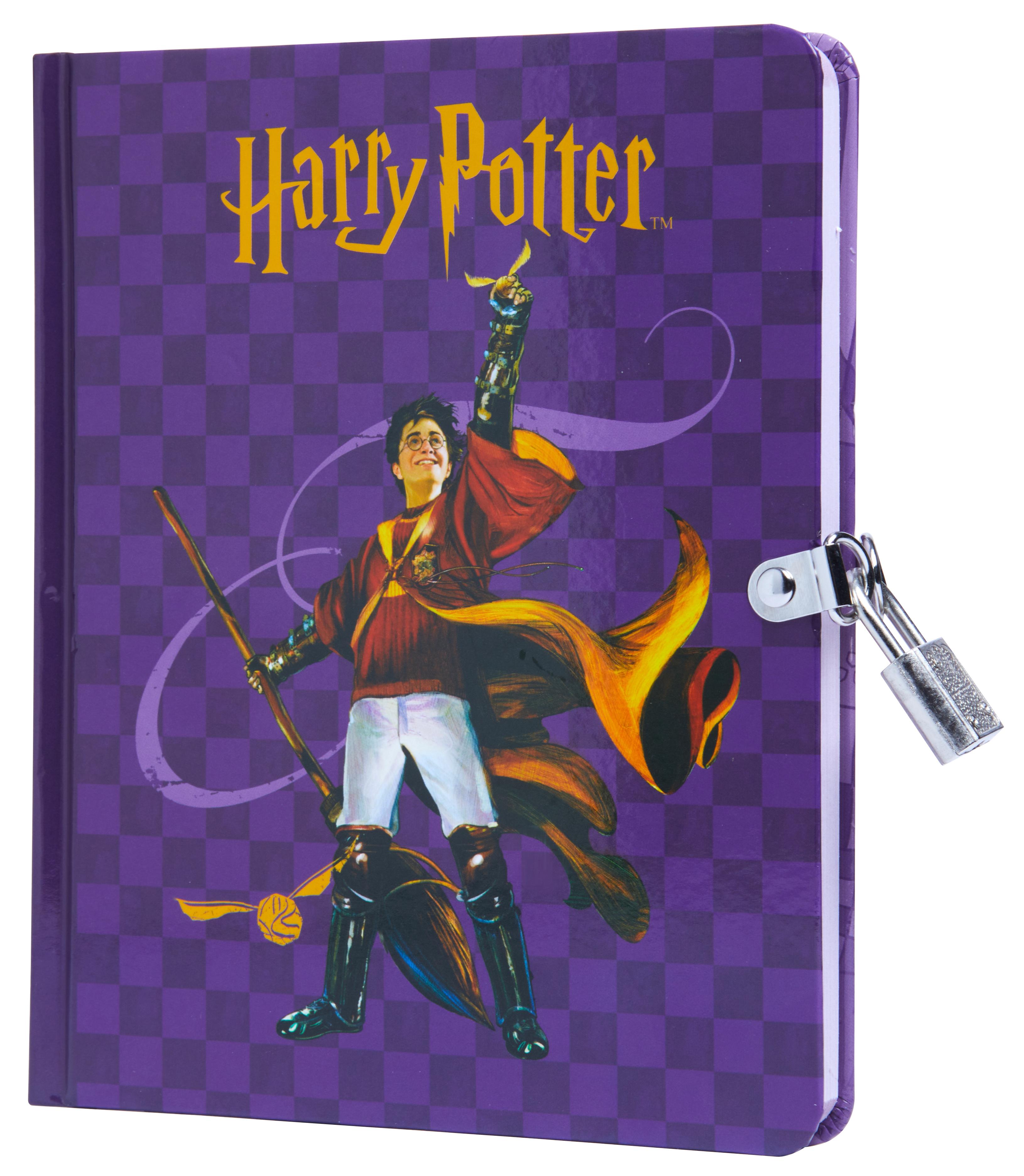 Vorderes Coverbild Harry Potter: Quidditch Lock & Key Diary