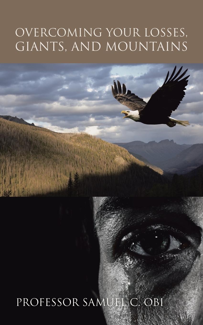 Vorderes Coverbild Overcoming Your Losses, Giants, and Mountains