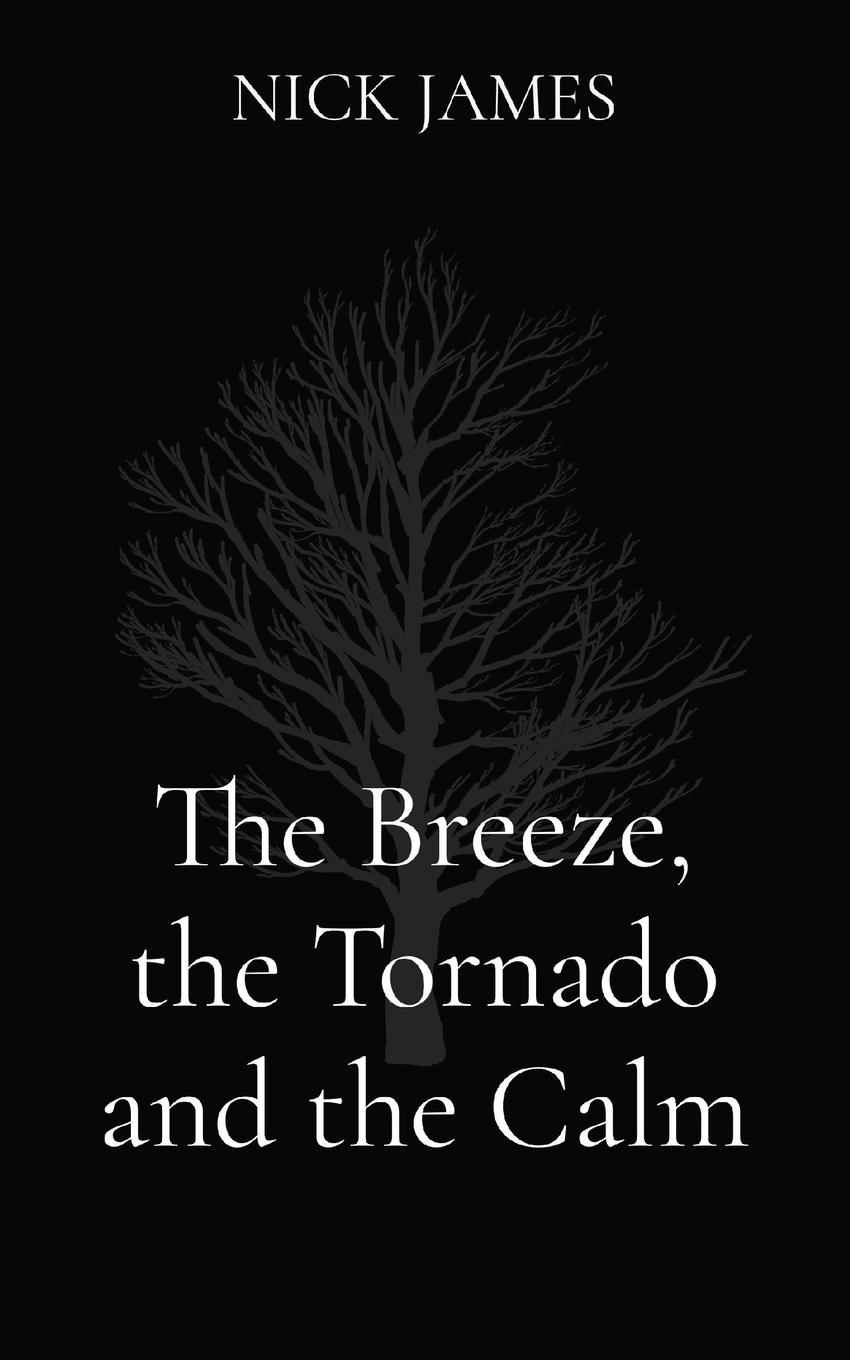 Vorderes Coverbild The Breeze, the Tornado and the Calm