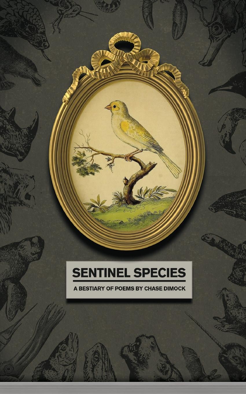 Vorderes Coverbild Sentinel Species