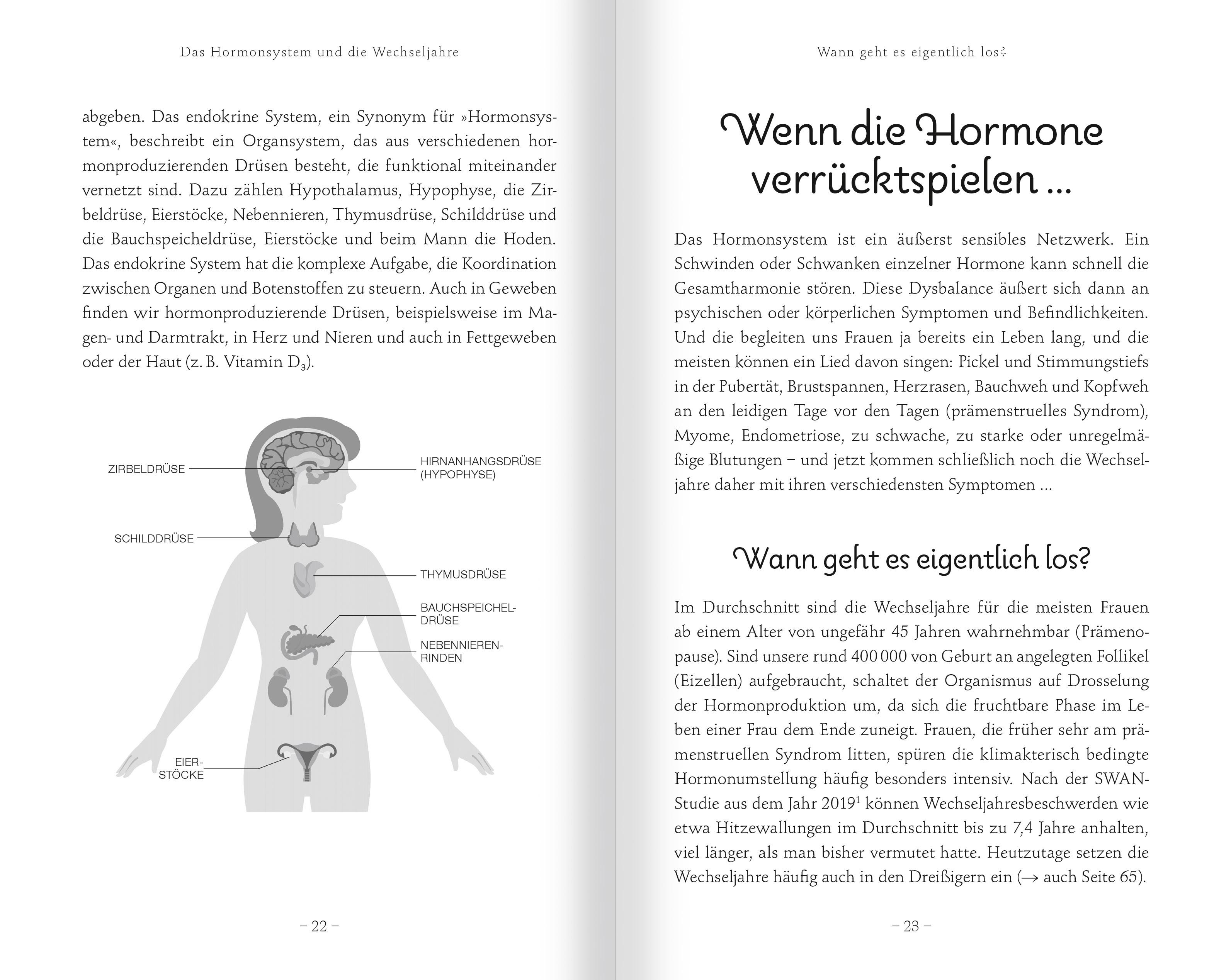 Beispielinhalt (Bild) Meno-Balance. Mit gutem Gefühl durch die Wechseljahre