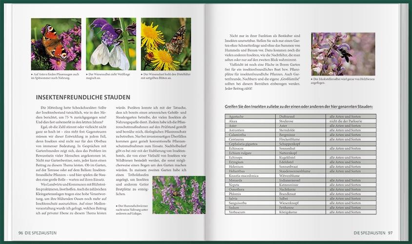 Beispielinhalt (Bild) MDR Garten - Unsere Stauden