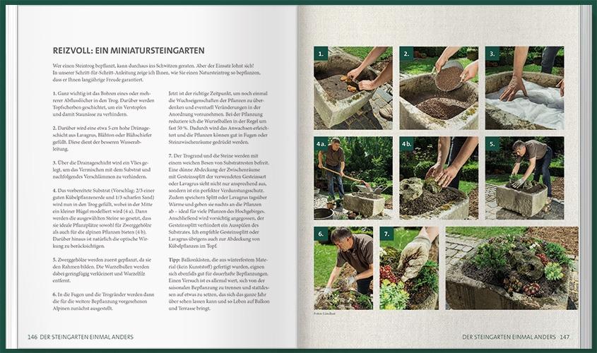 Beispielinhalt (Bild) MDR Garten - Unsere Stauden