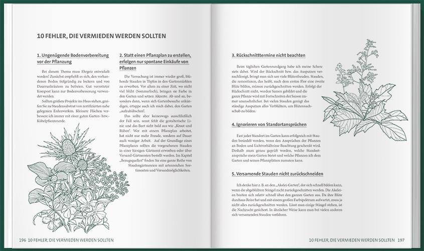 Beispielinhalt (Bild) MDR Garten - Unsere Stauden