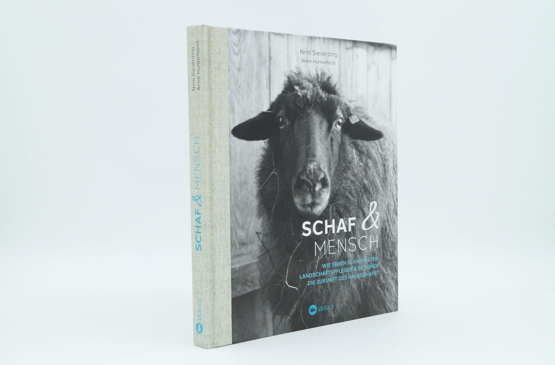 Beispielinhalt (Bild) Schaf und Mensch