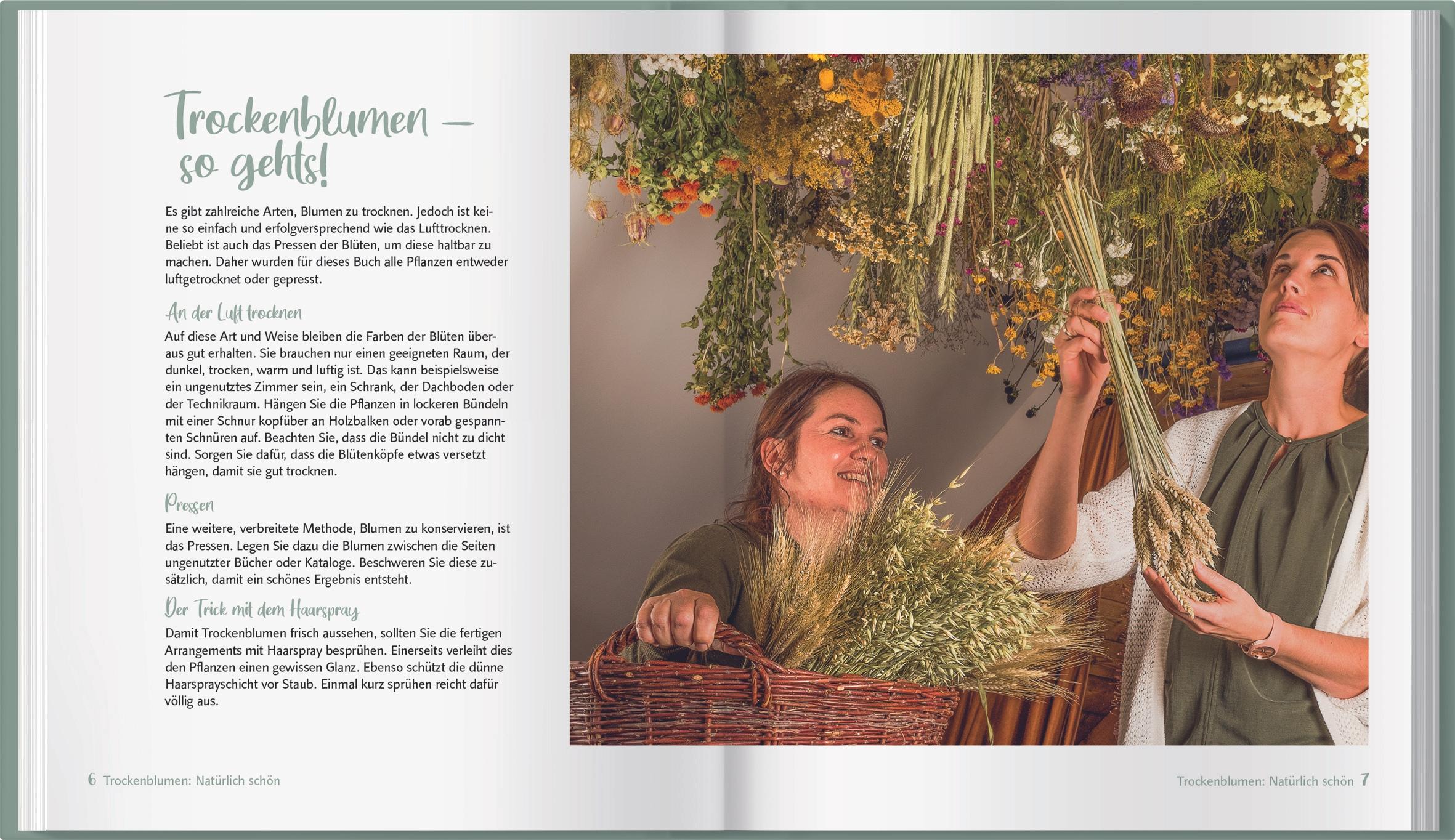 Beispielinhalt (Bild) Trockenblumen: Natürlich schön