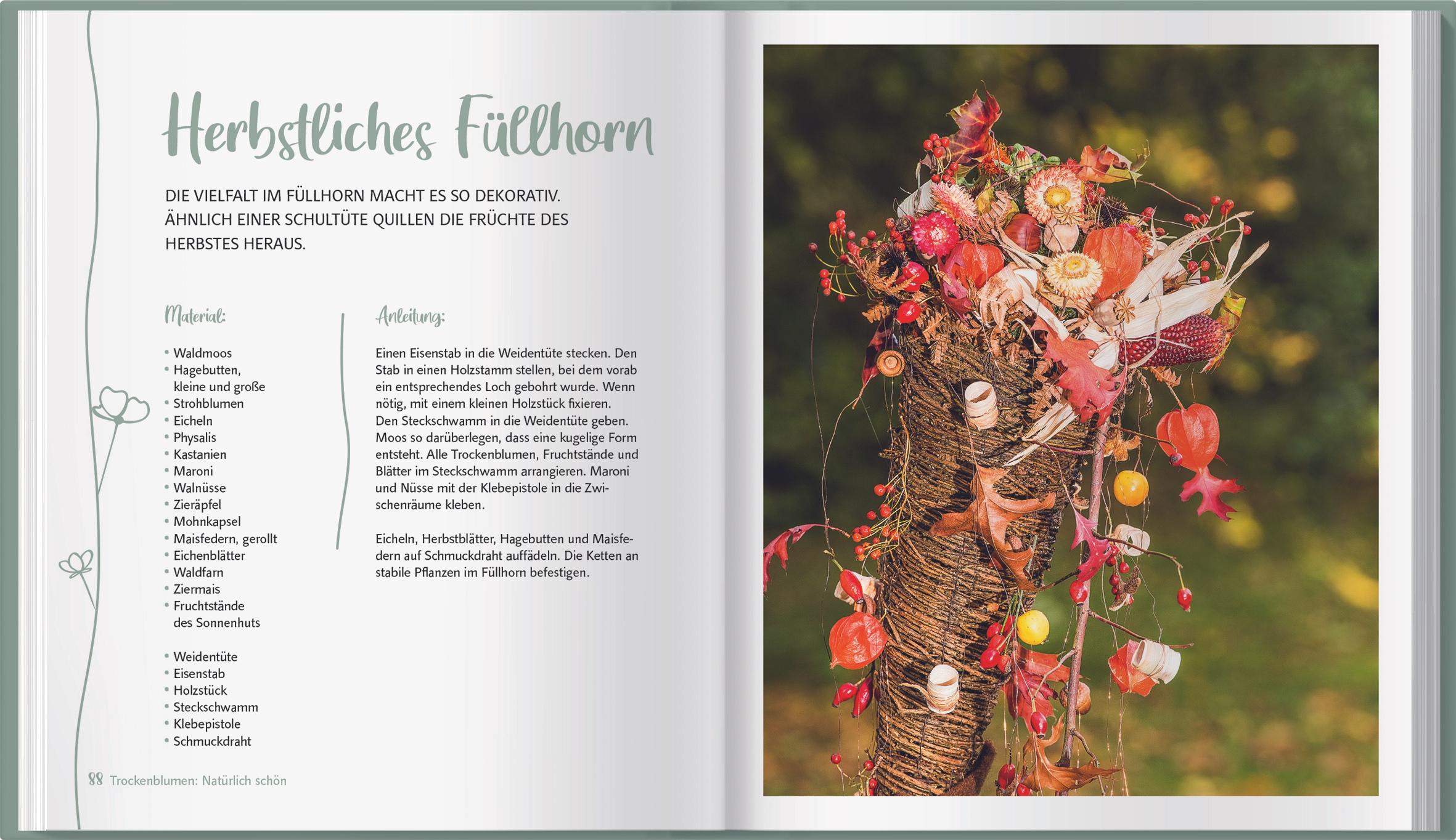 Beispielinhalt (Bild) Trockenblumen: Natürlich schön